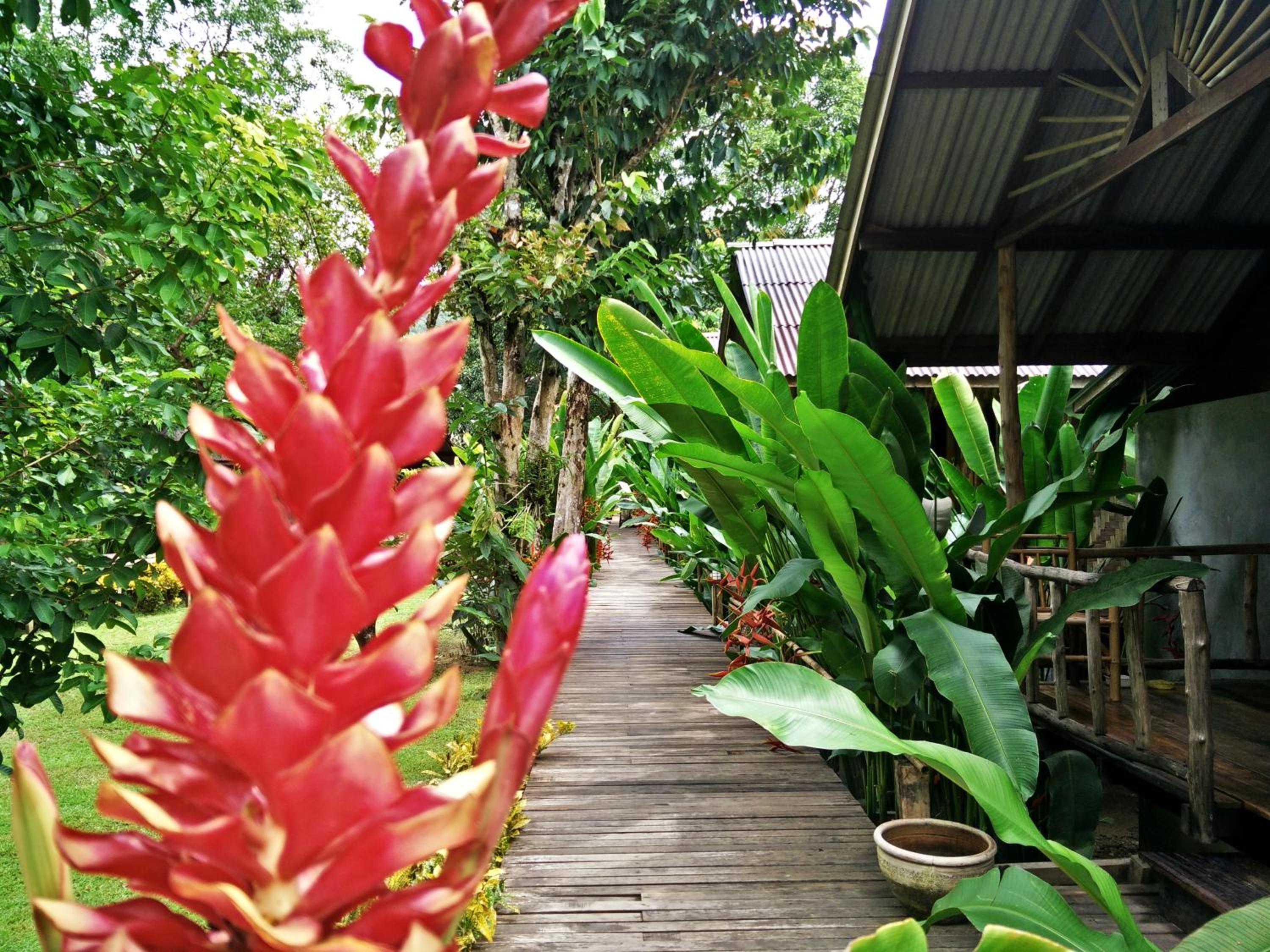 Khao Sok Cabana Resort