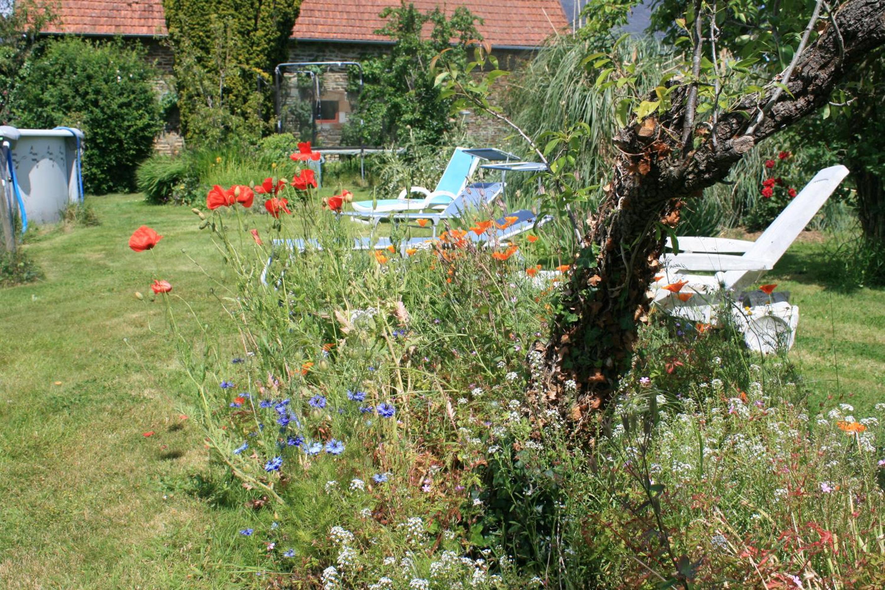 Photo 41