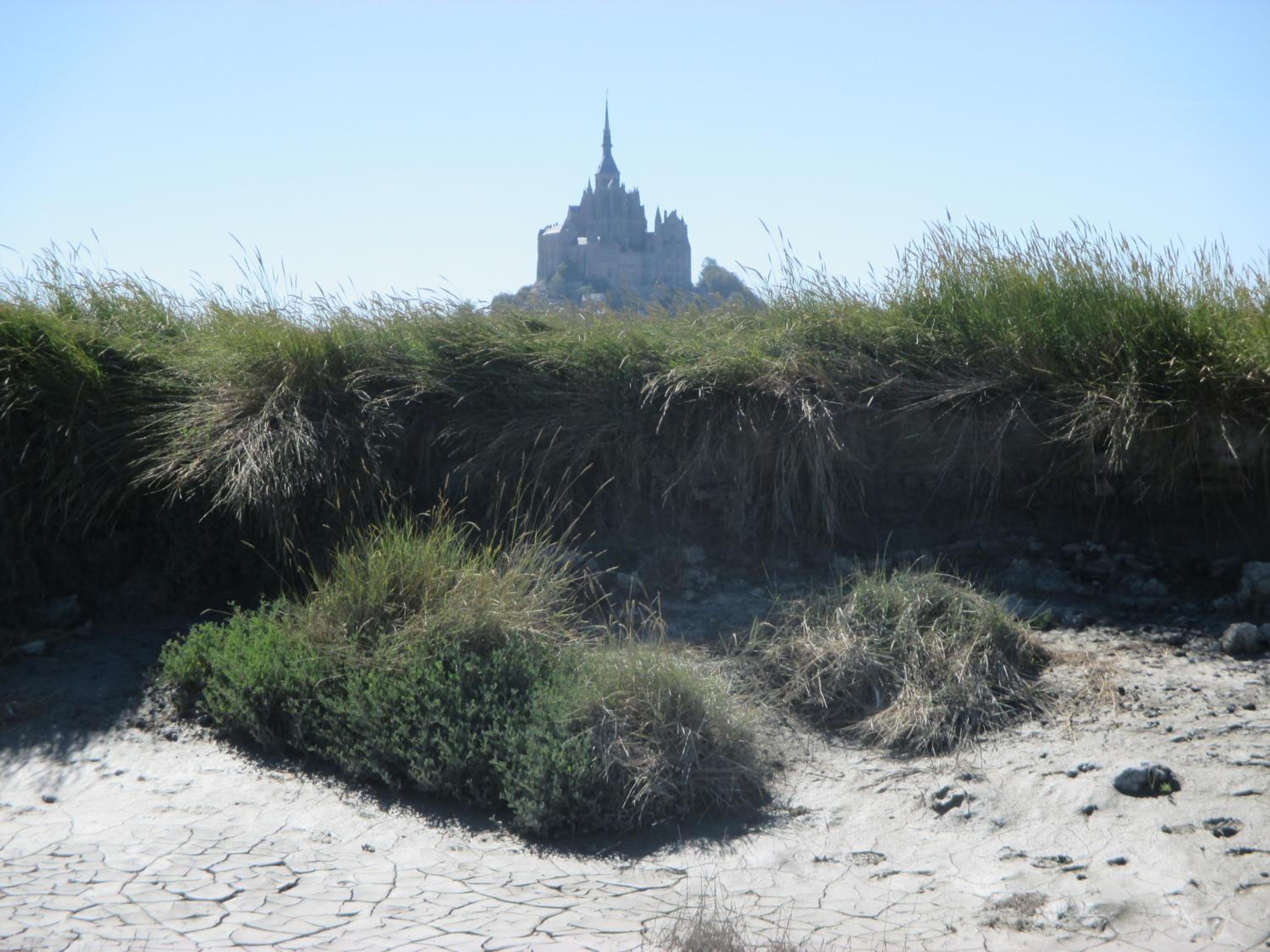 Photo 39
