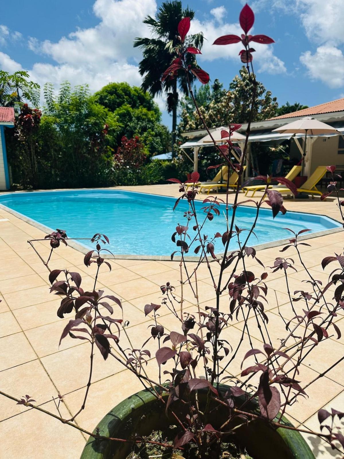 Le ptit paradis créole