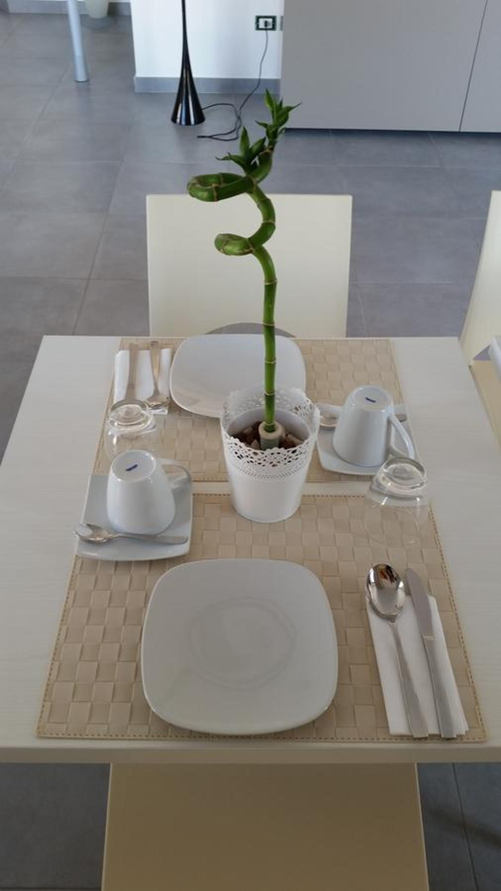 Dodo House