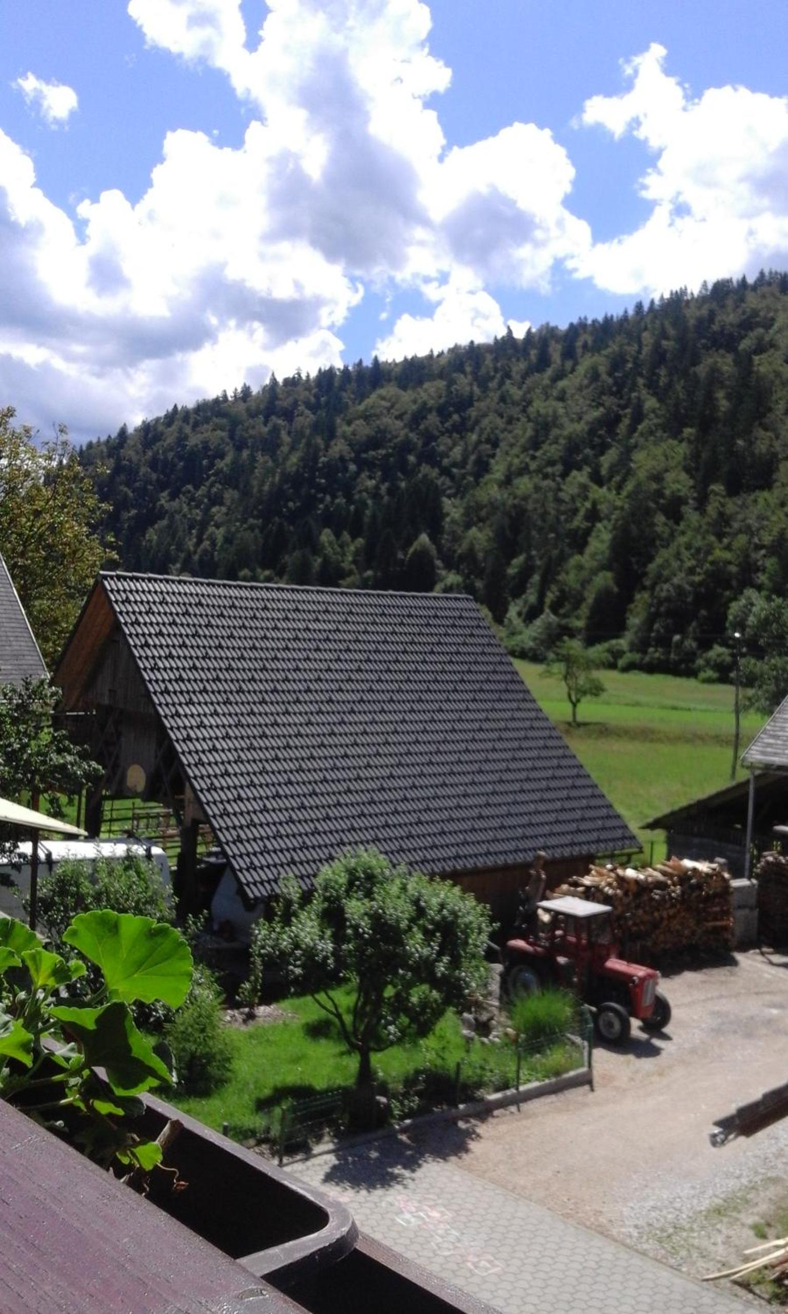Photo 14