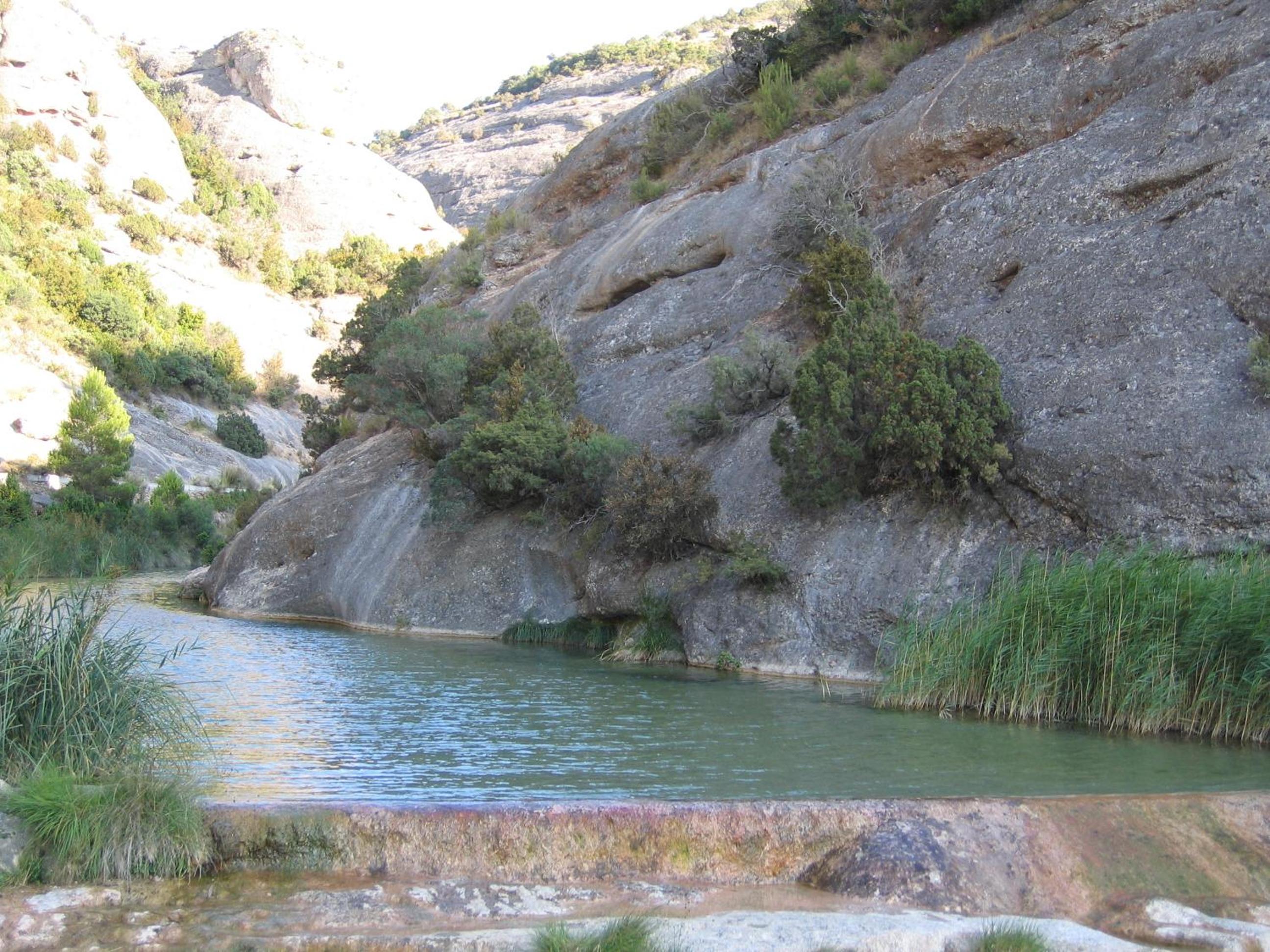 Photo 44