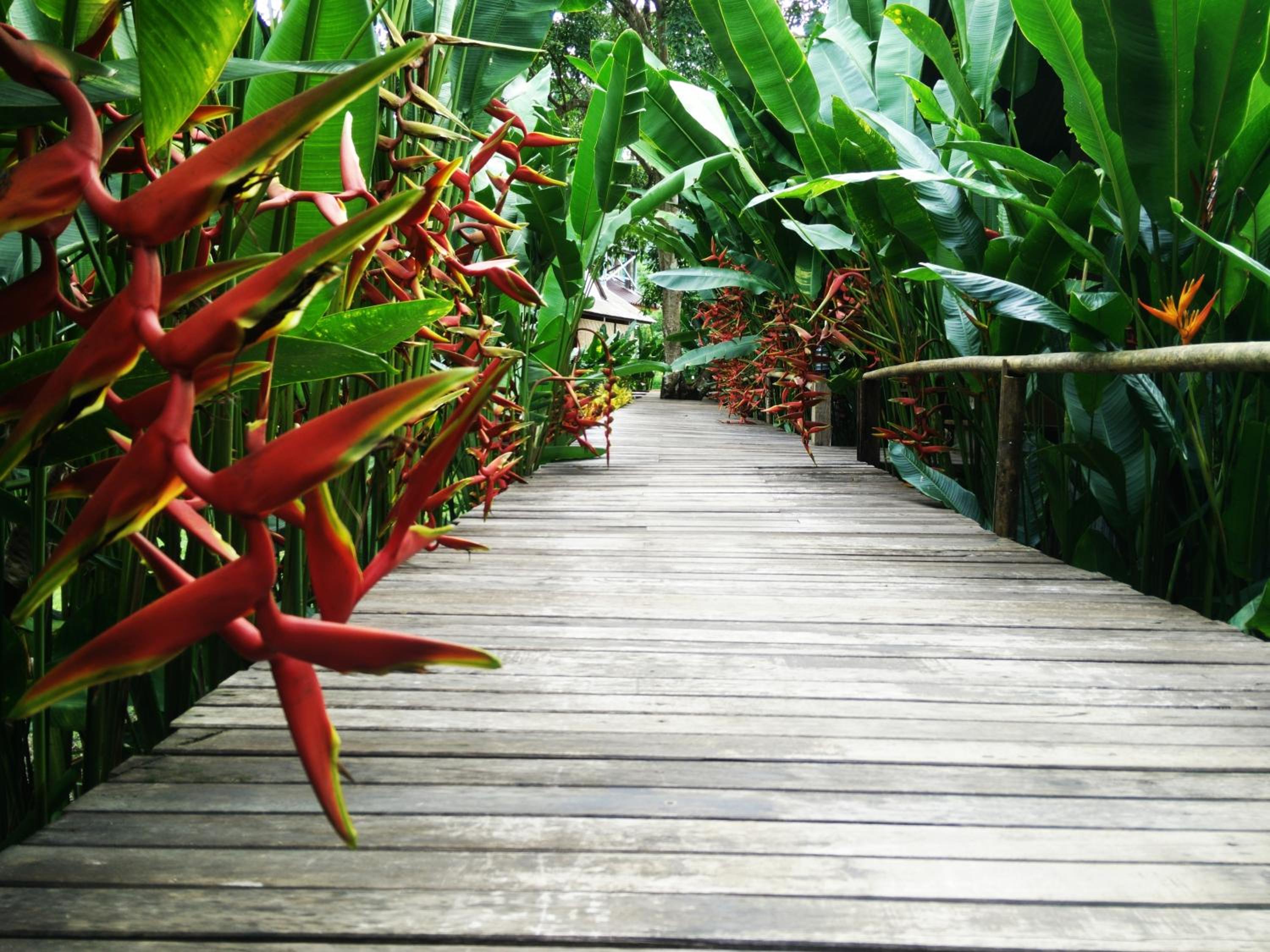 Khao Sok Cabana Resort