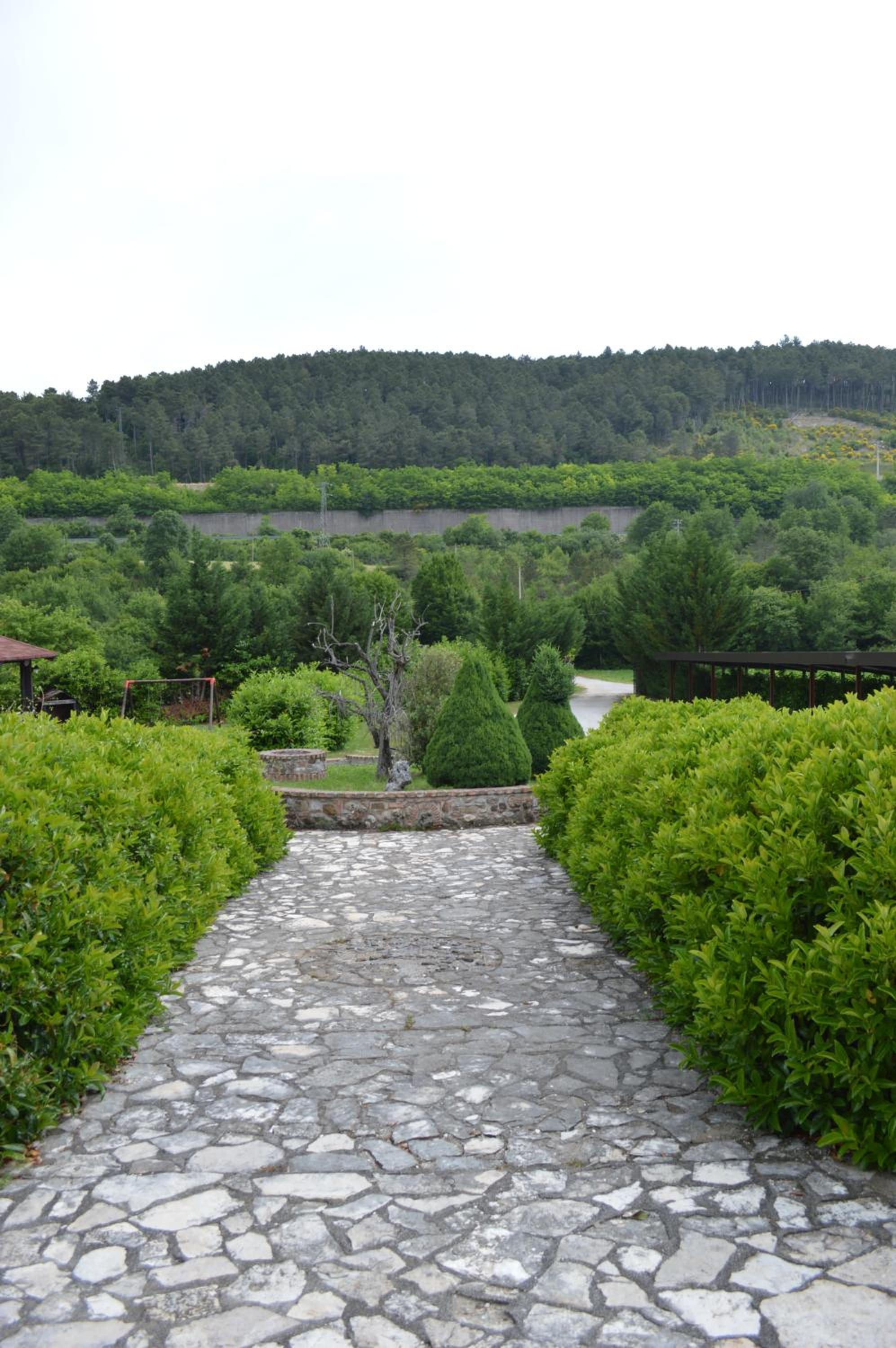 Photo 16