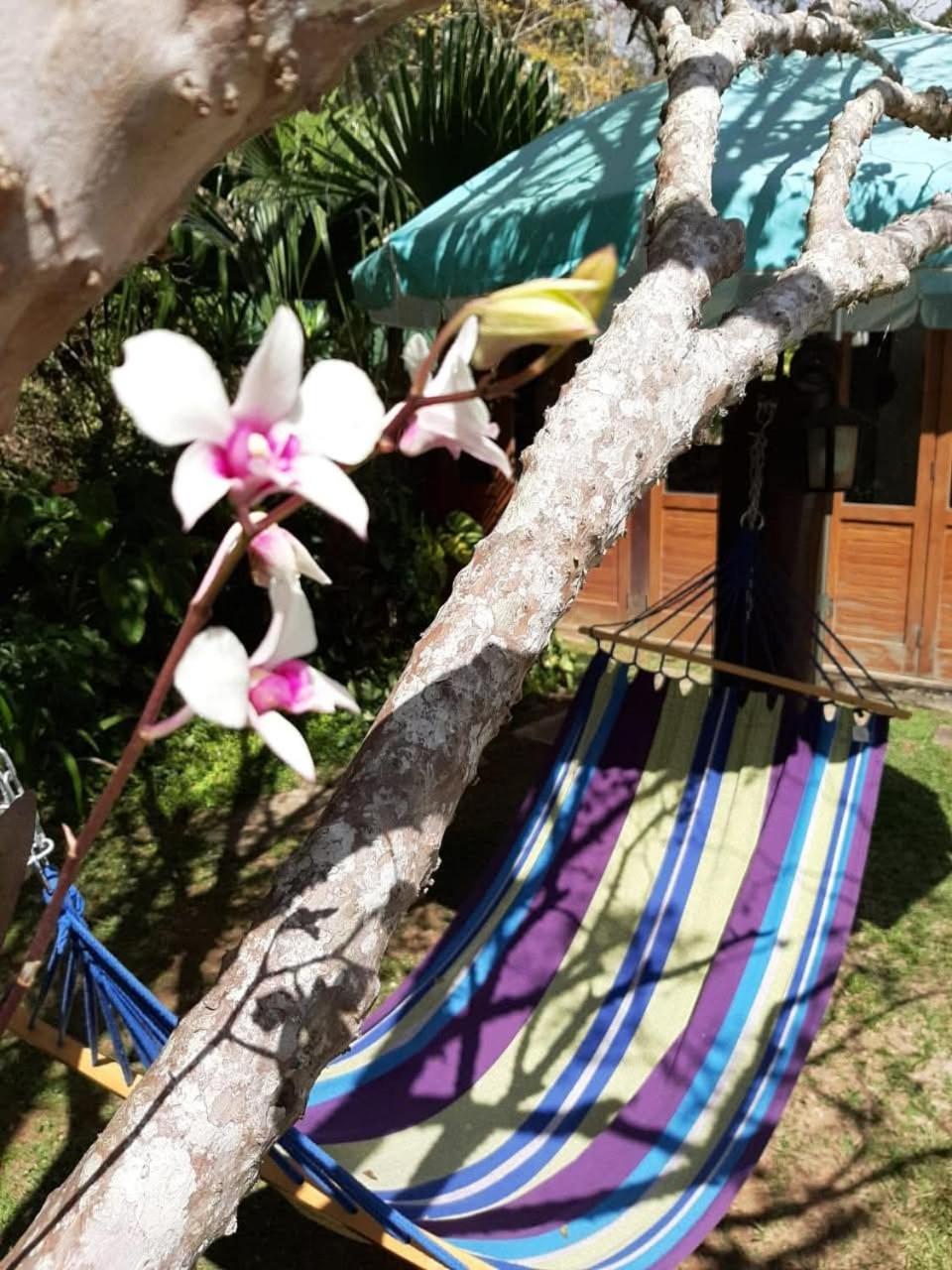 Paraíso aconchegante em Itaipava