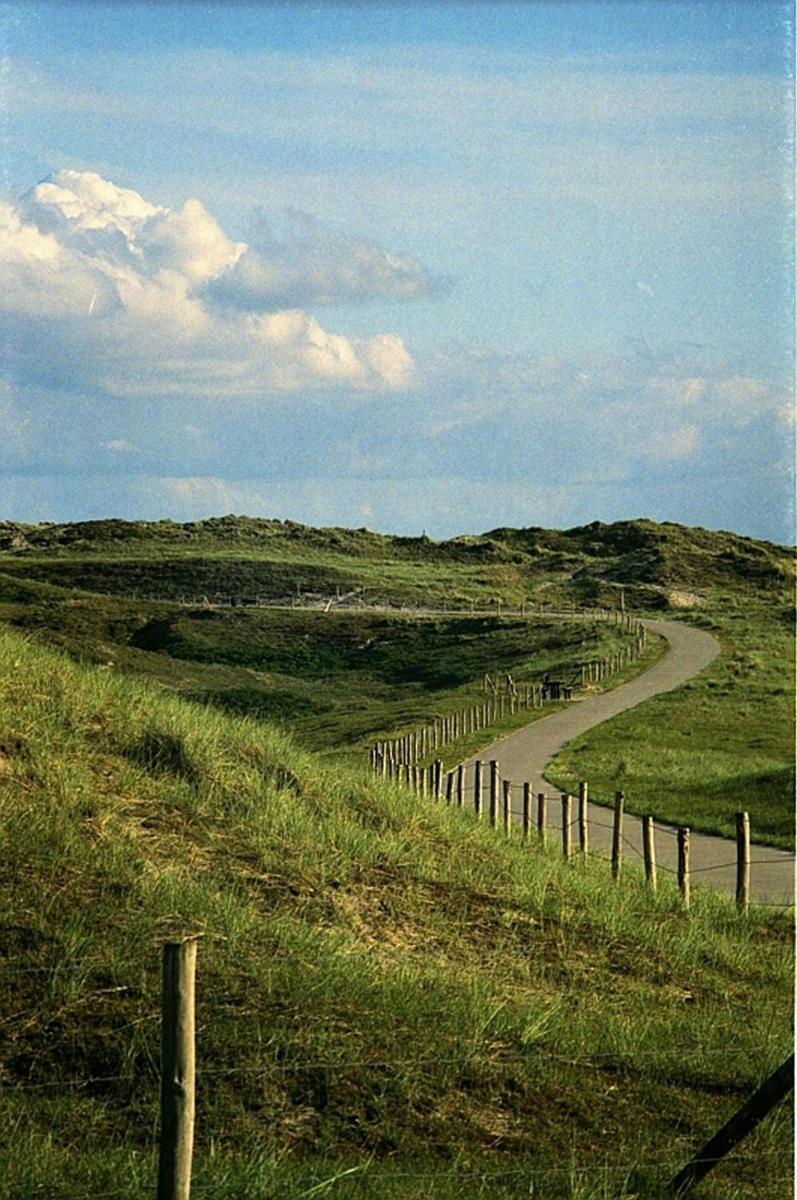 Photo 29