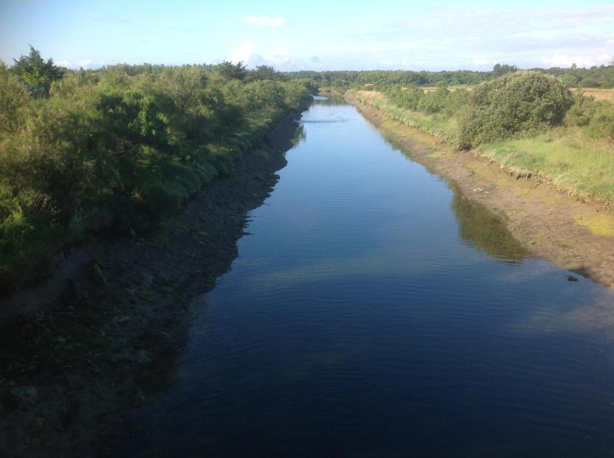 Photo 46