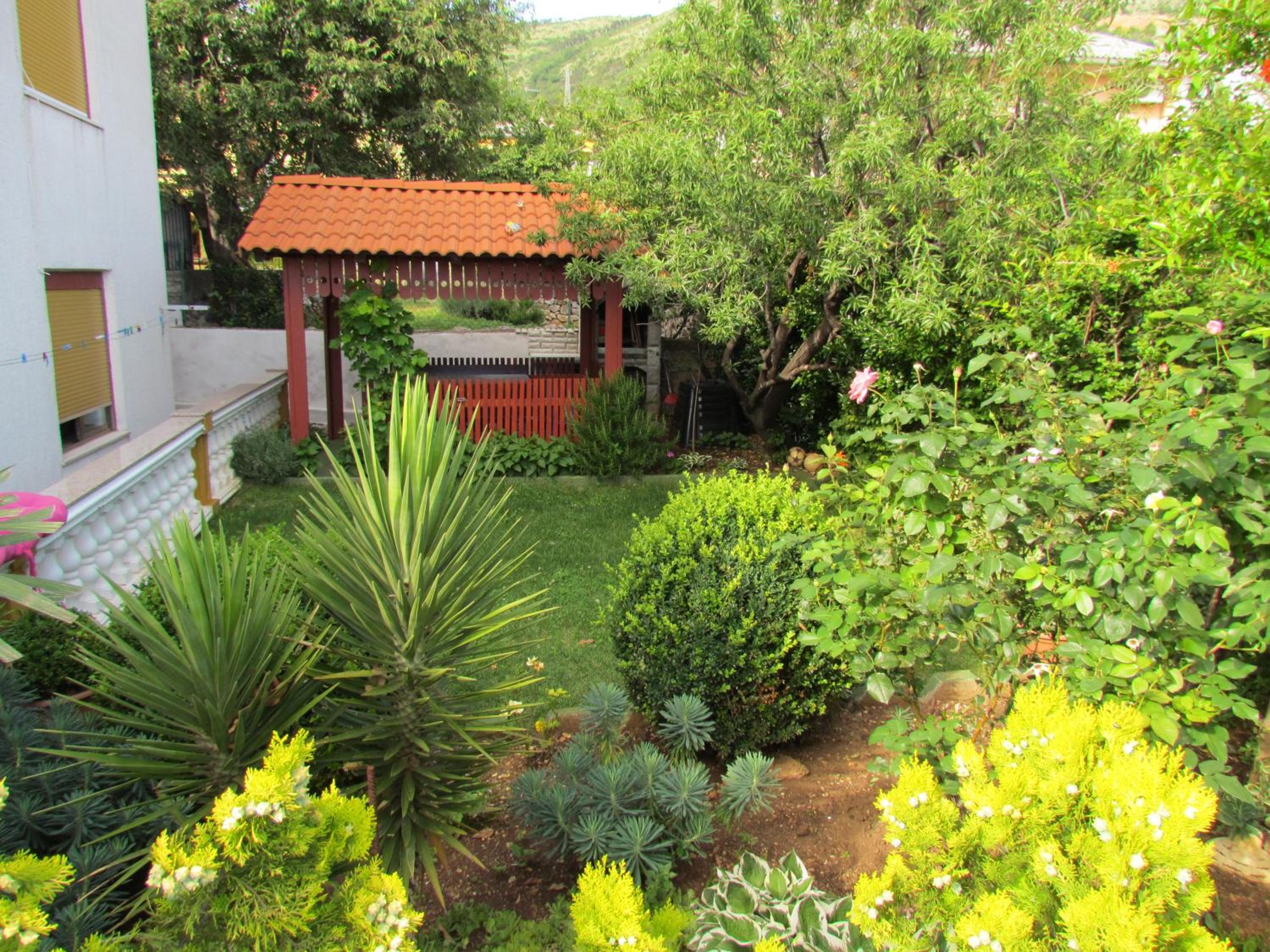 Photo 29