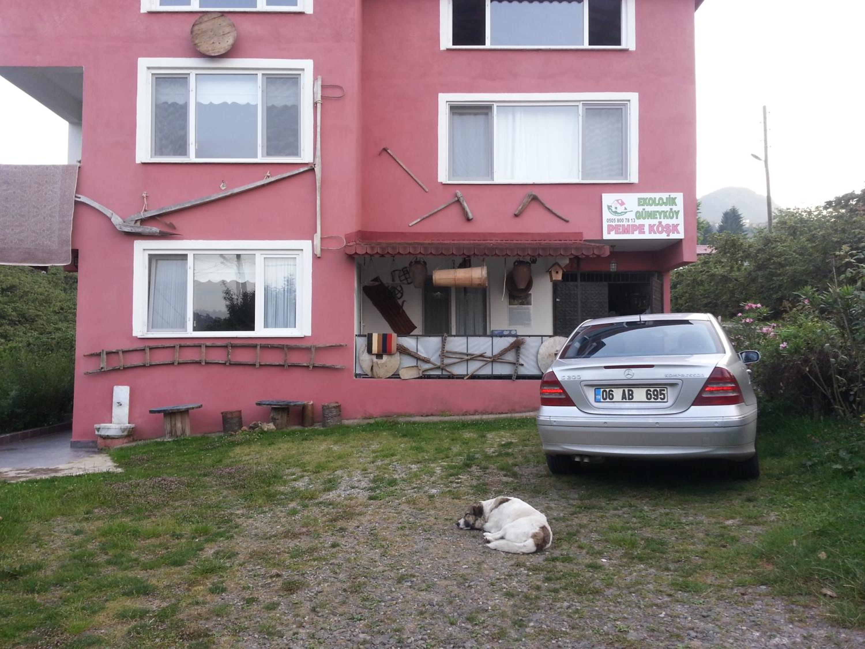 Photo 44