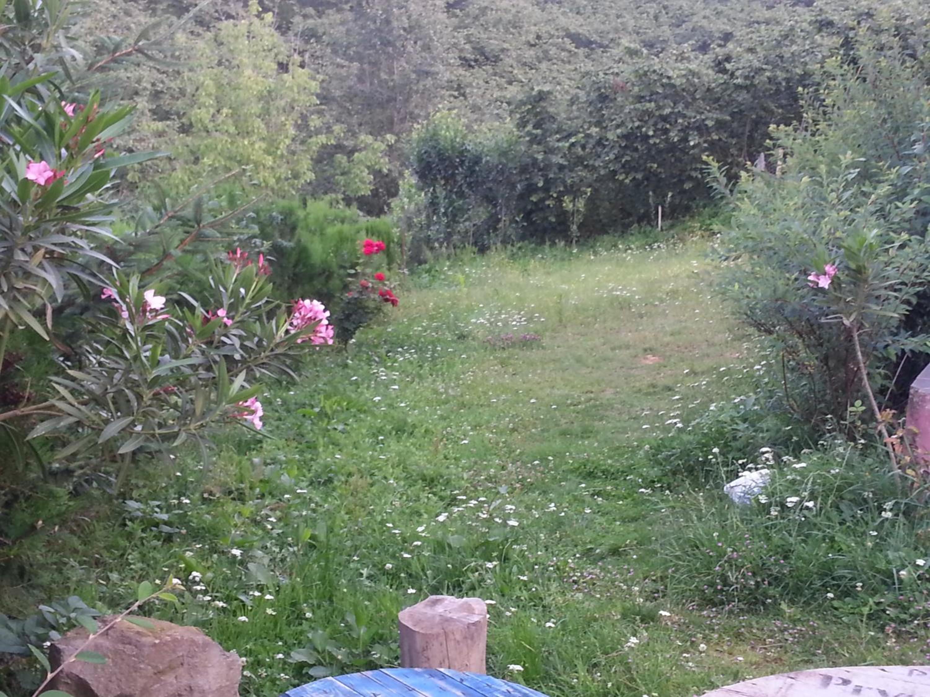 Photo 38