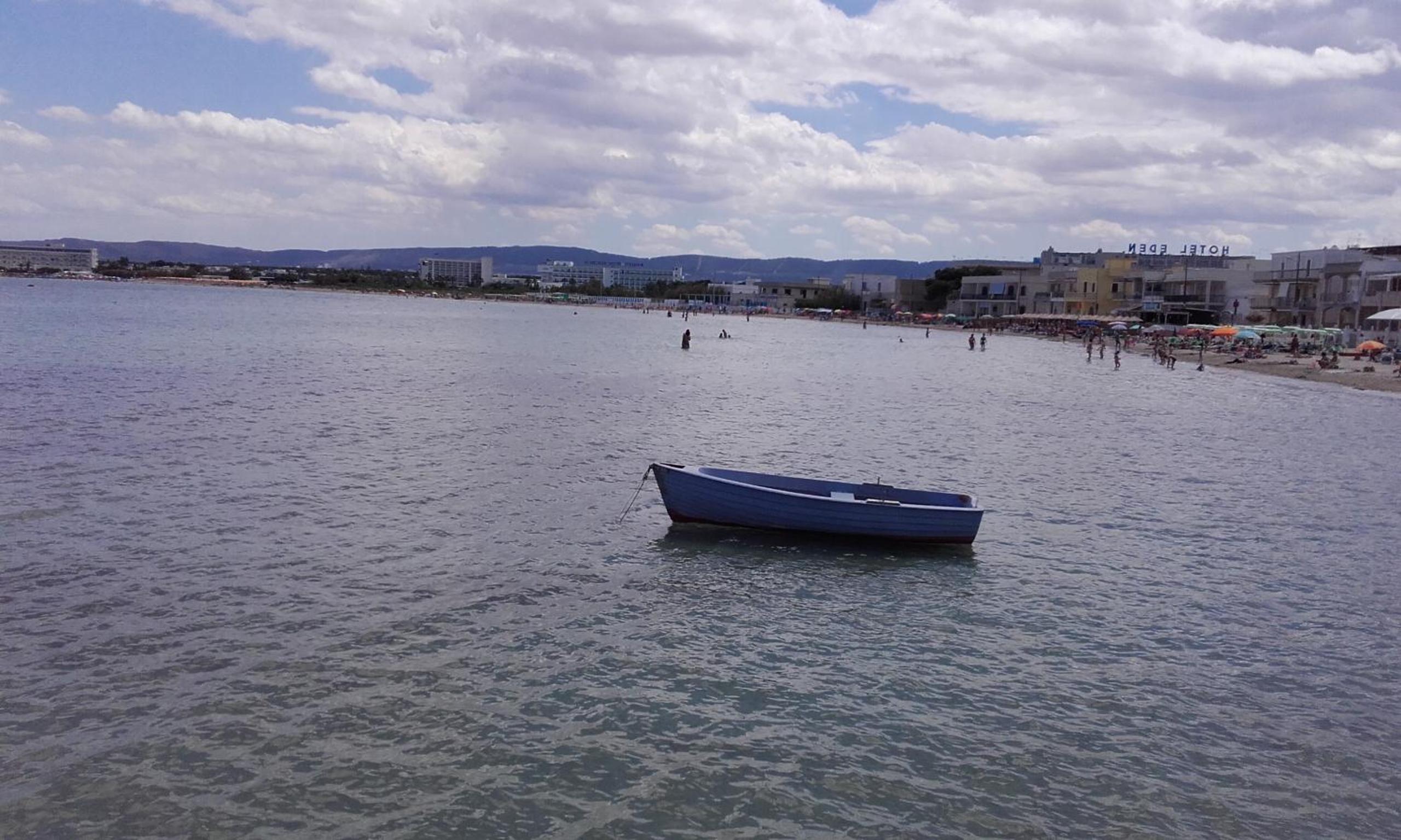 Photo 41