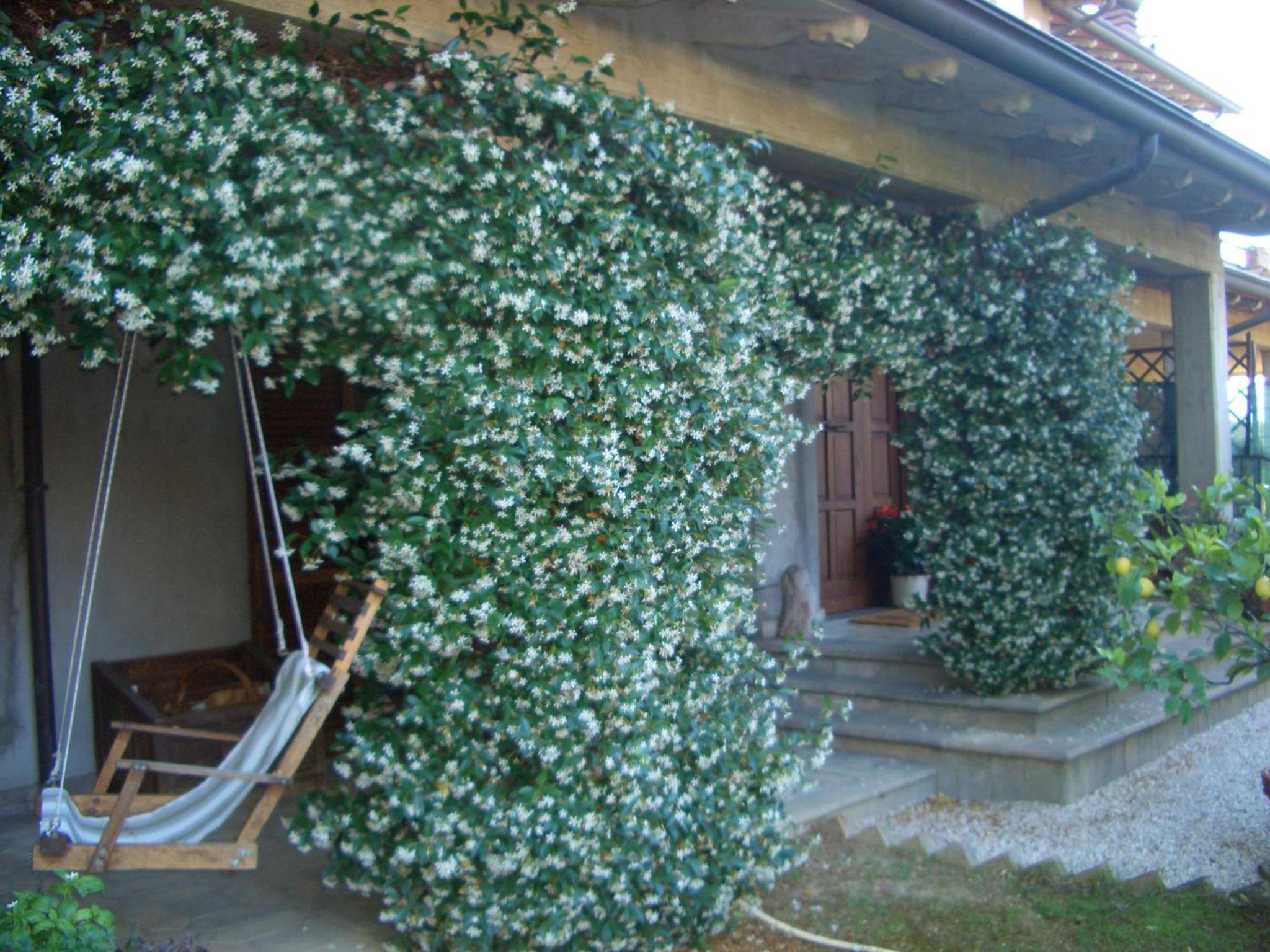 B&B Luce Riflessa photo 2
