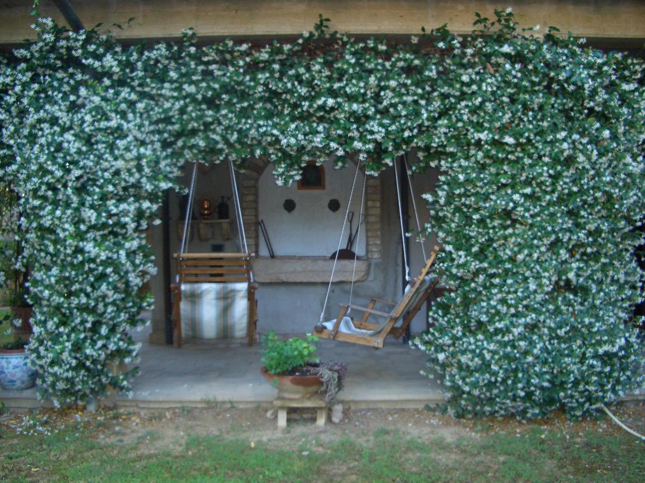 B&B Luce Riflessa photo 3