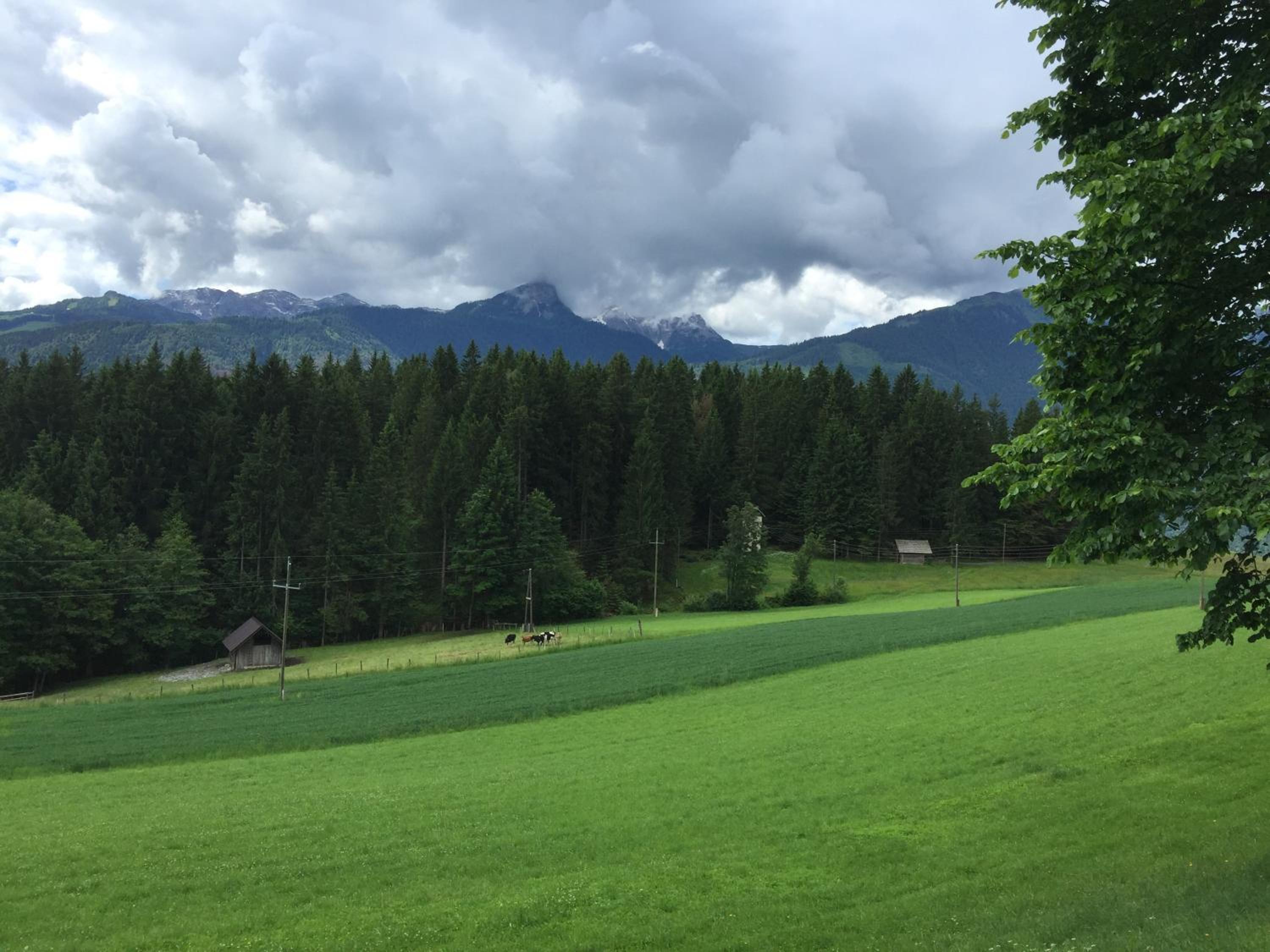 Photo 25