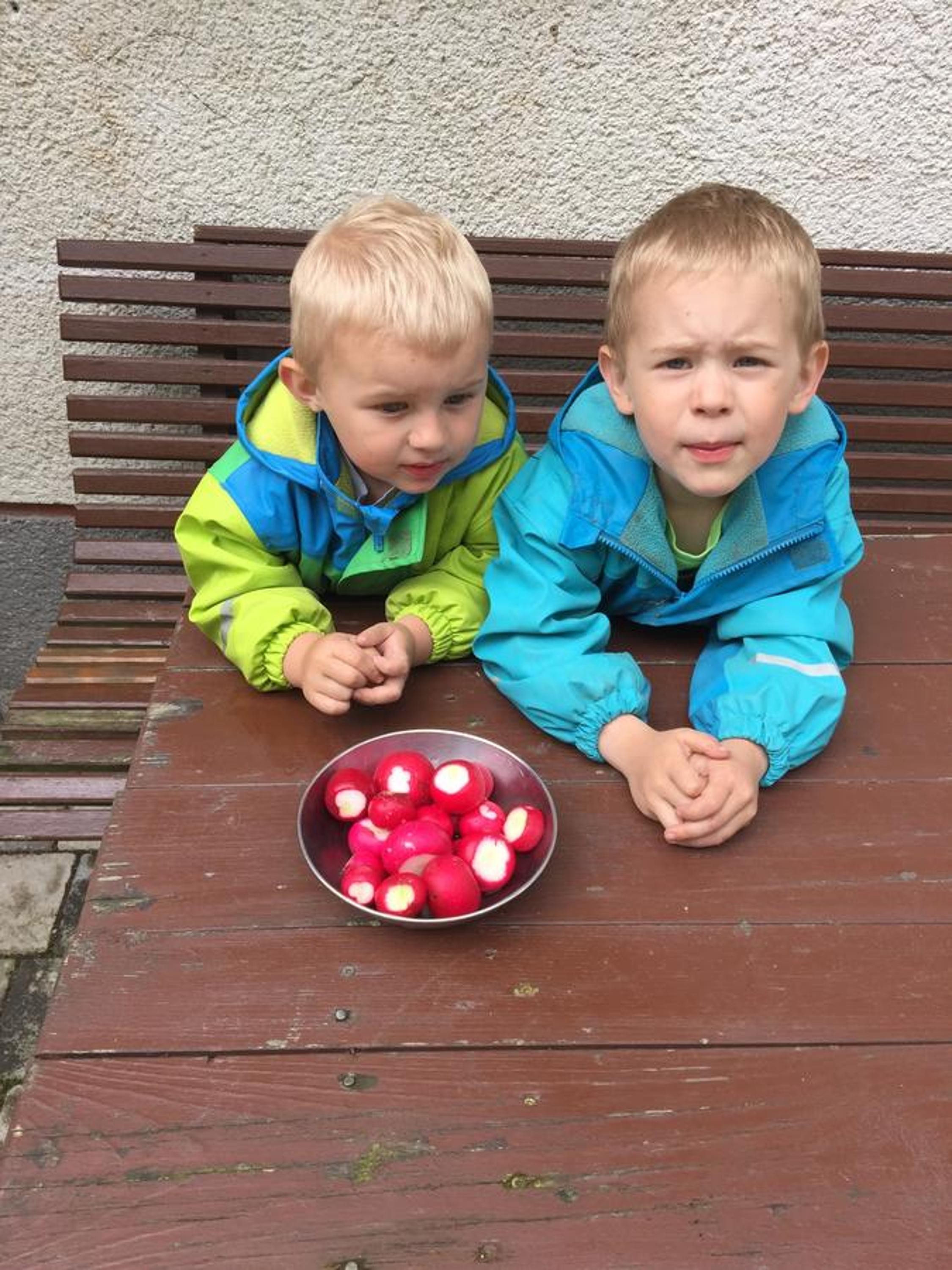 Photo 29