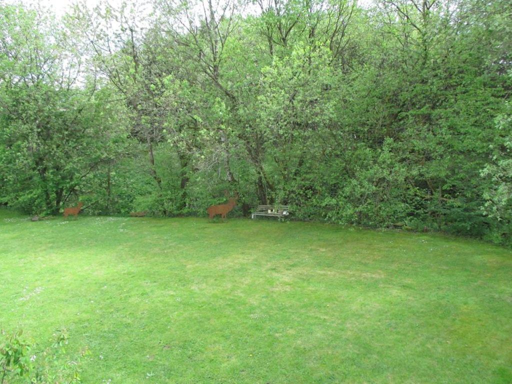 Photo 27