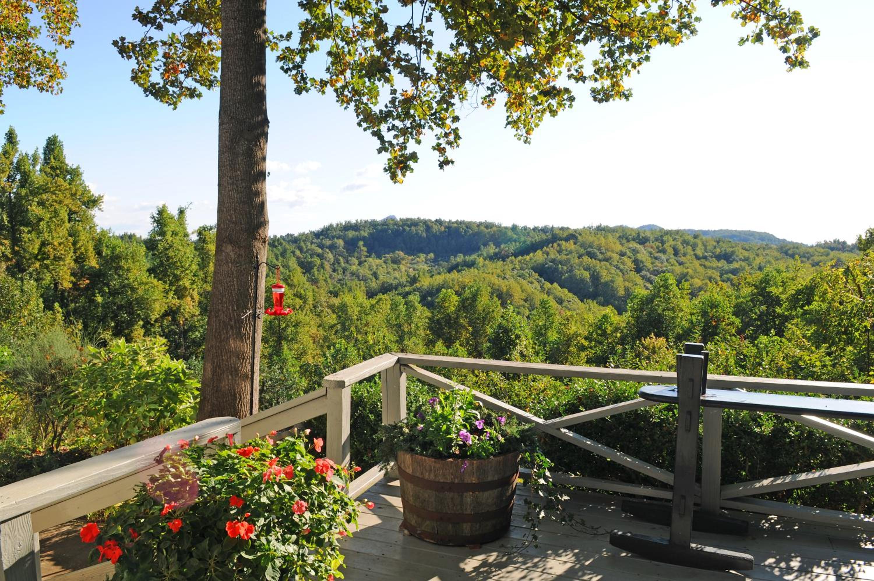 Orchard Inn - Property Image 5