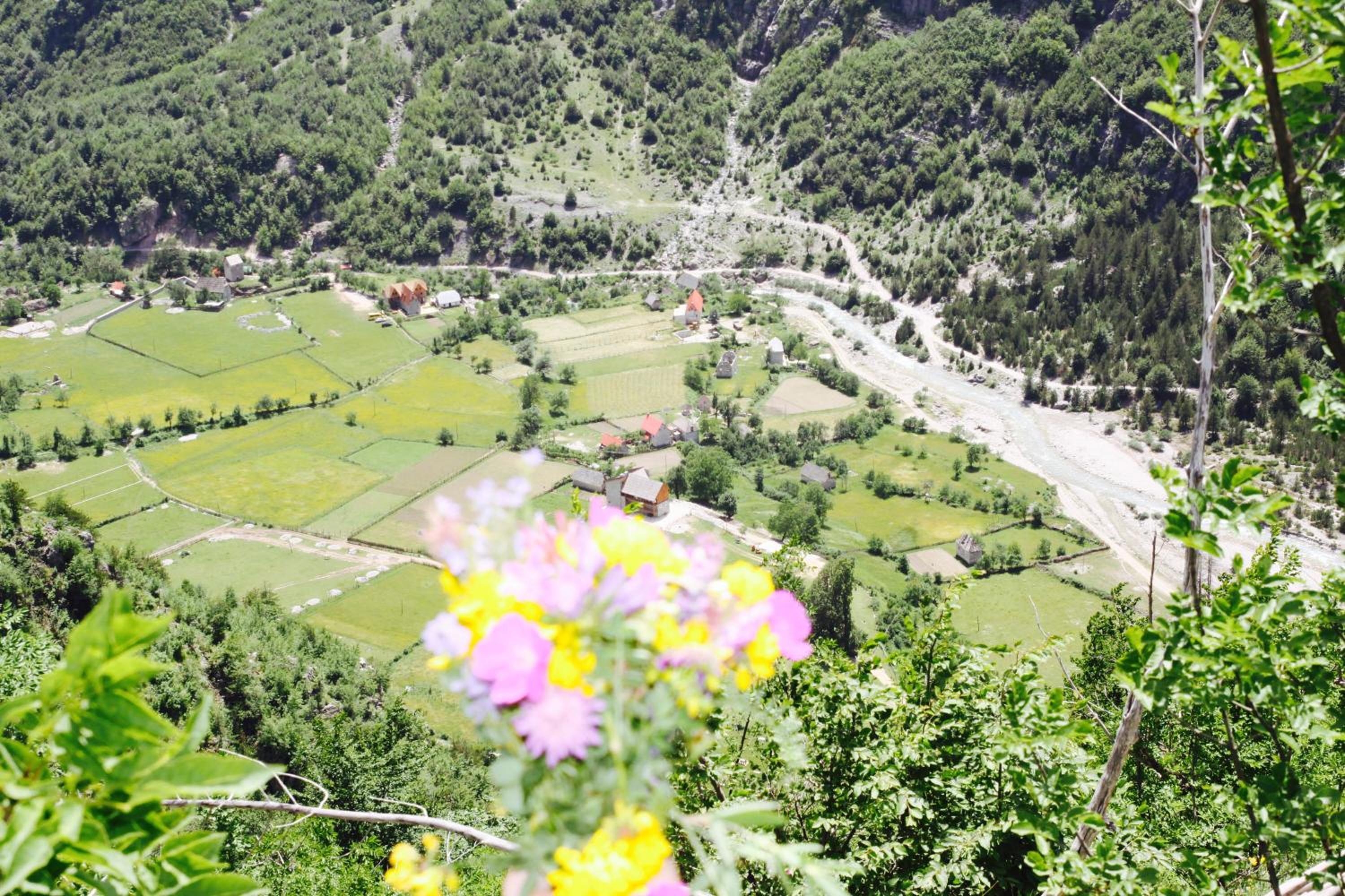 Bujtina Polia