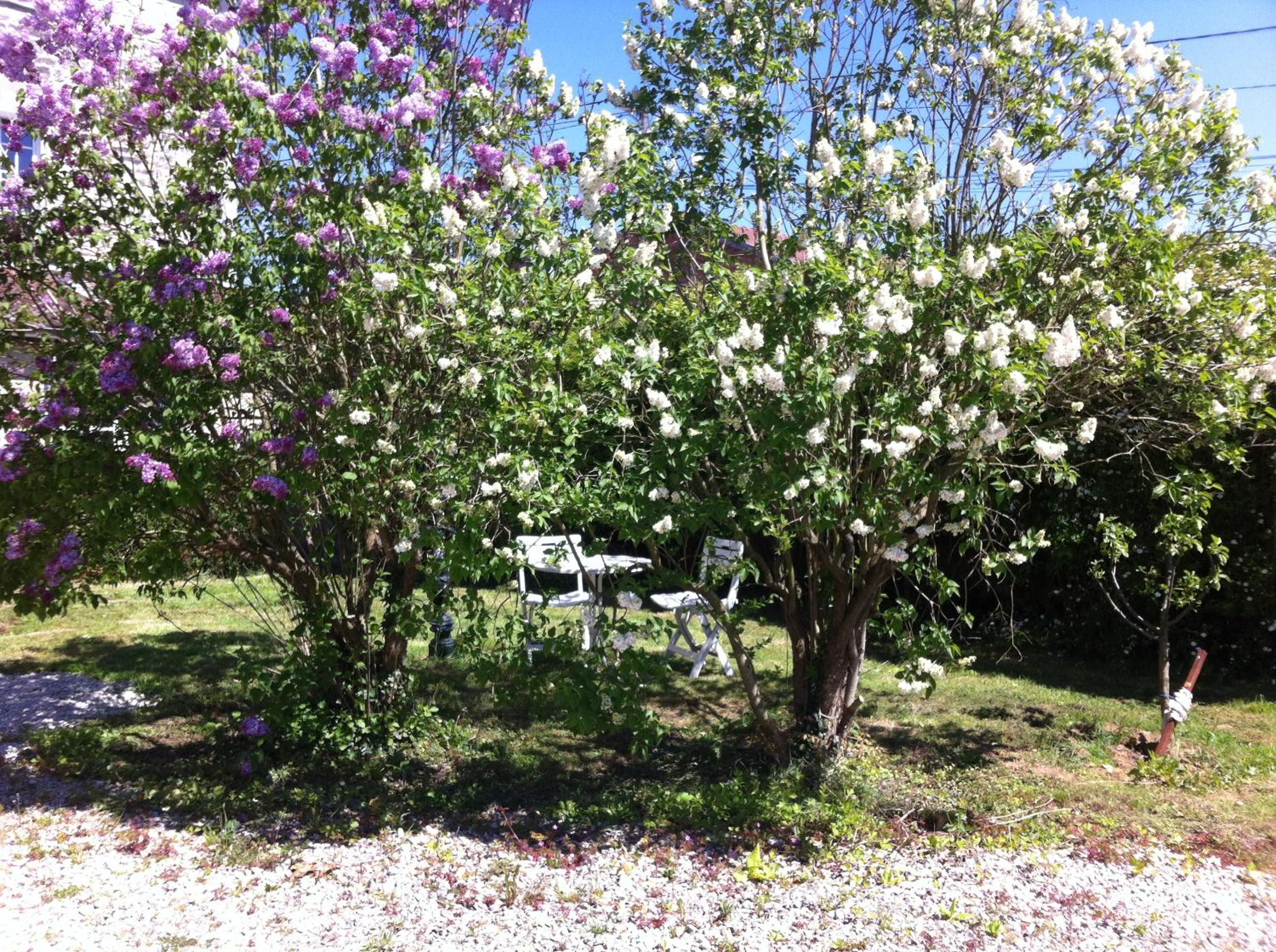Photo 25
