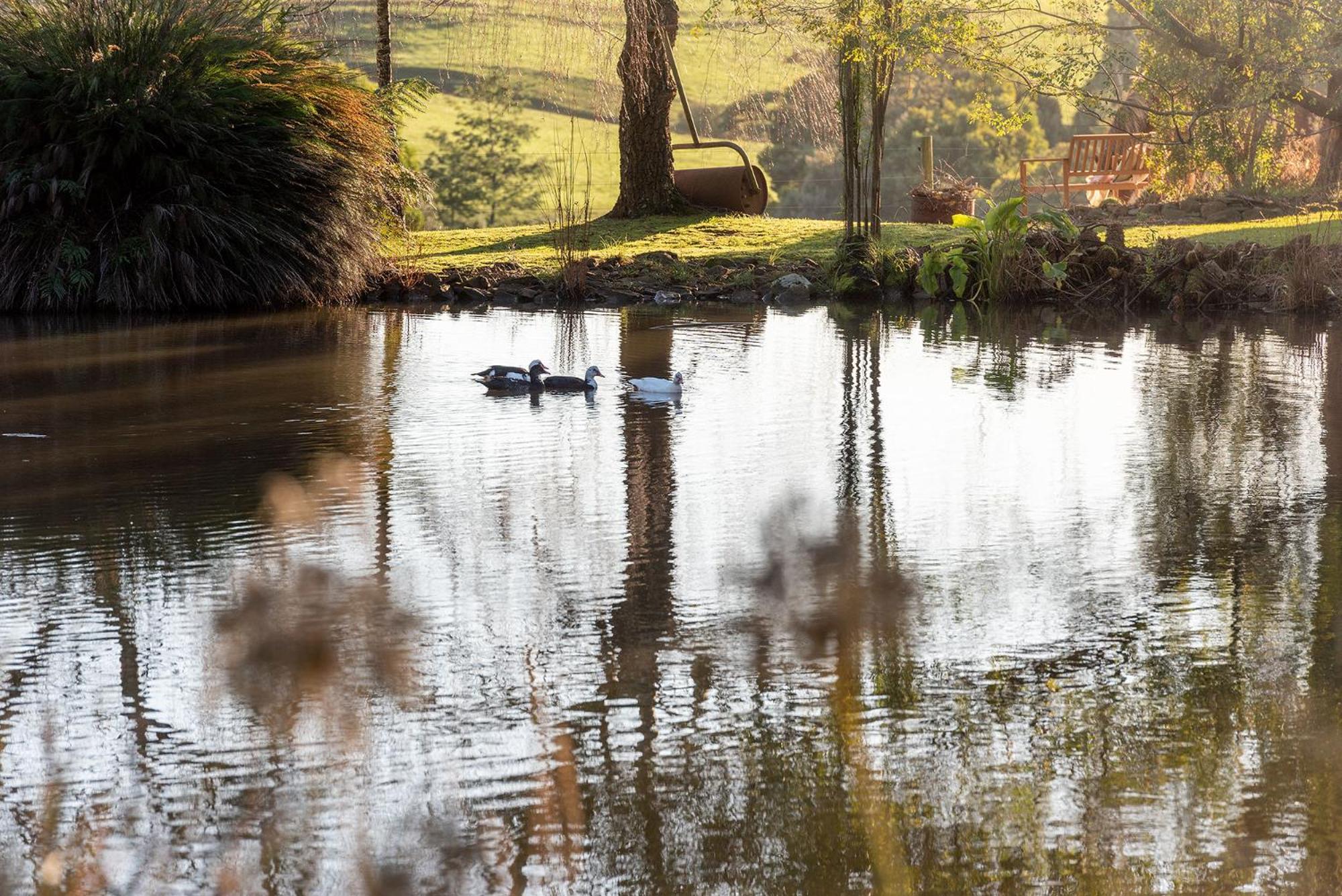Arion Park