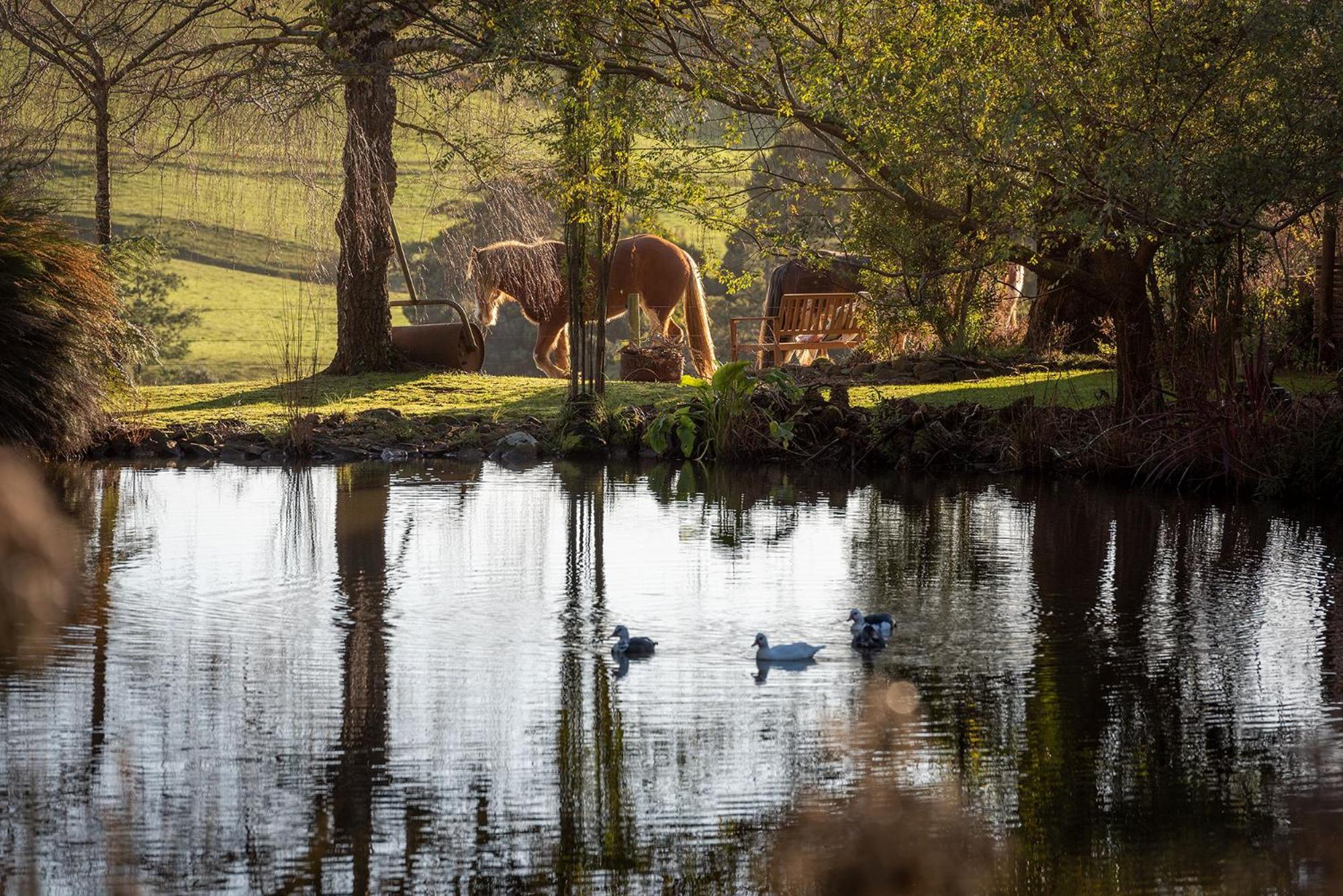 Arion Park
