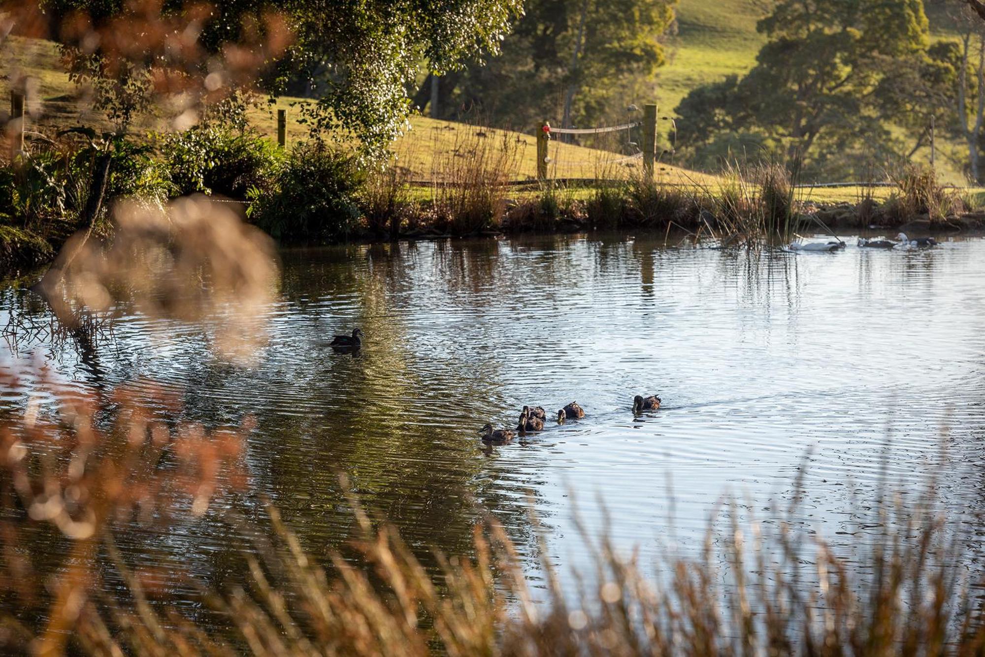 Arion Park