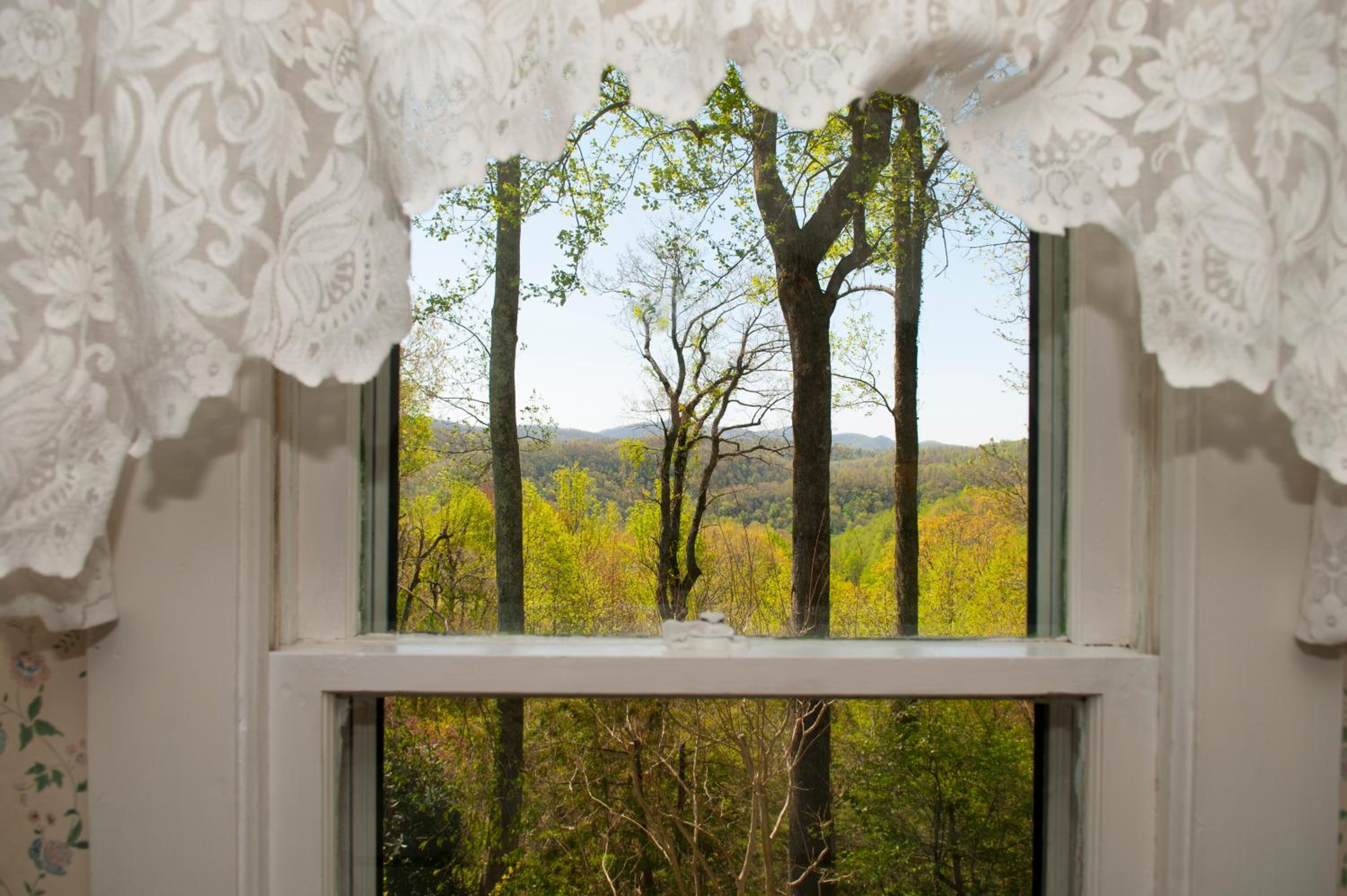 Orchard Inn