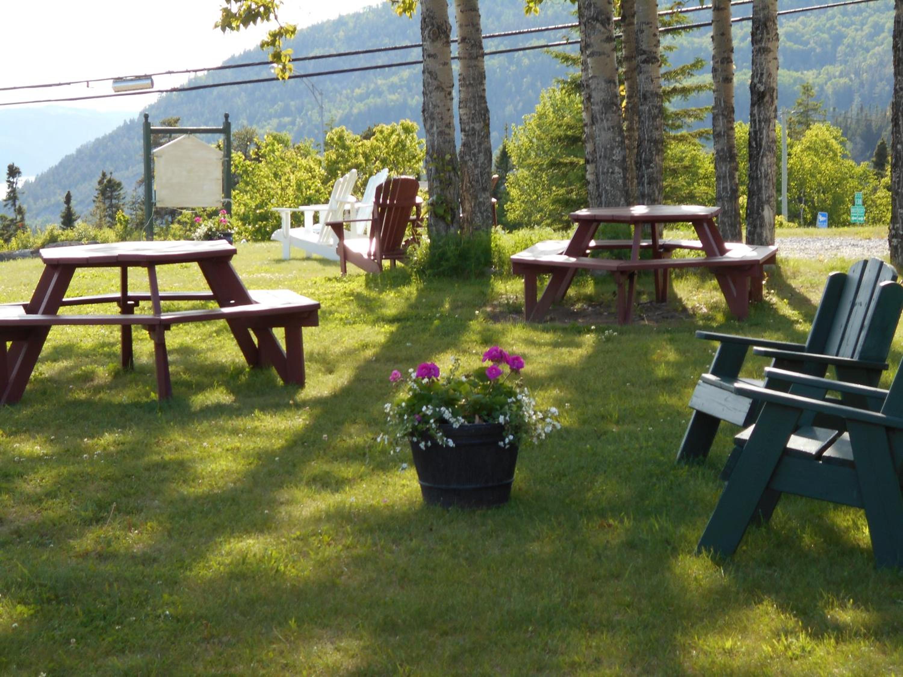 outdoor BBQ area