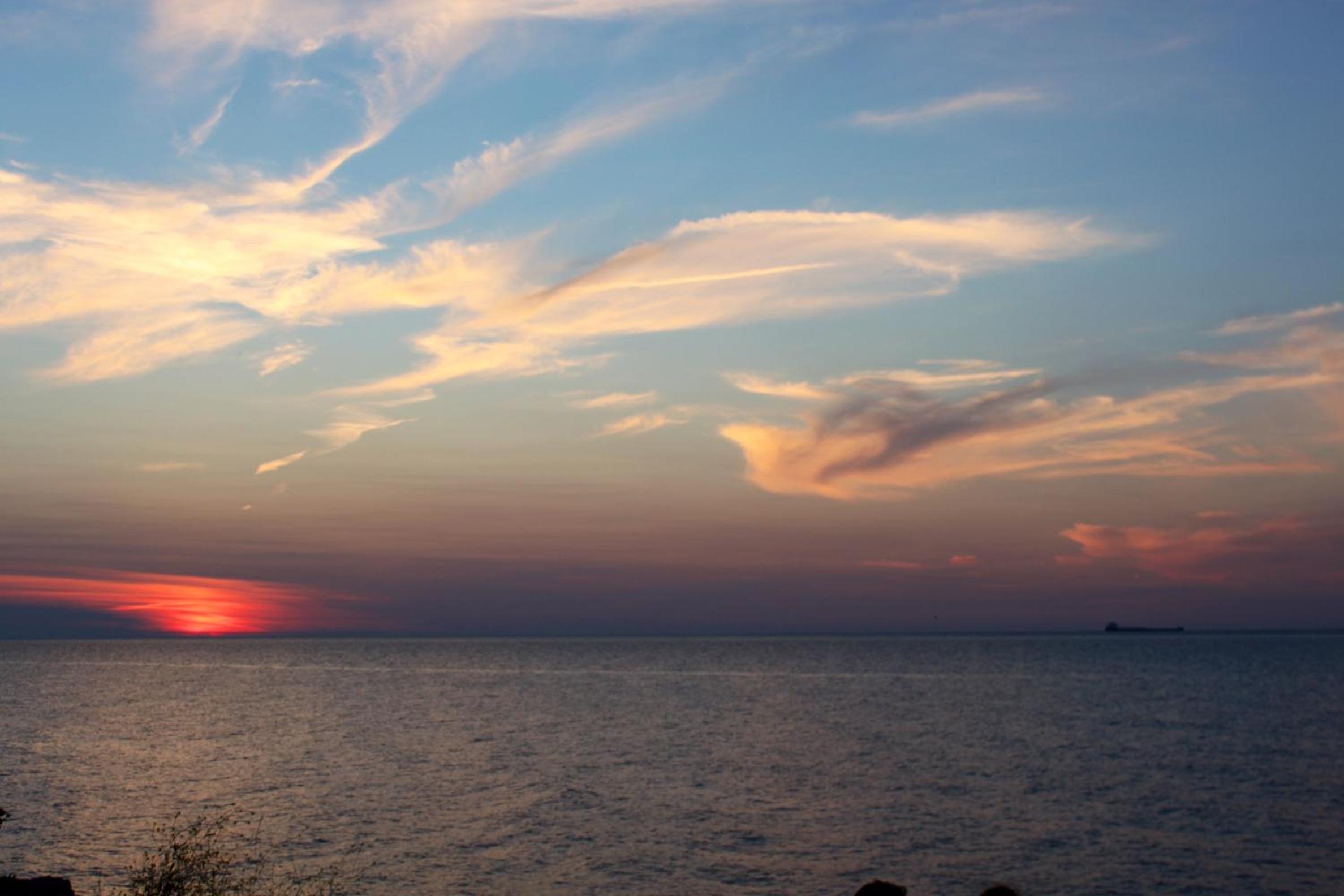 Westwood Cottage License 059-2024 - Property Image 4