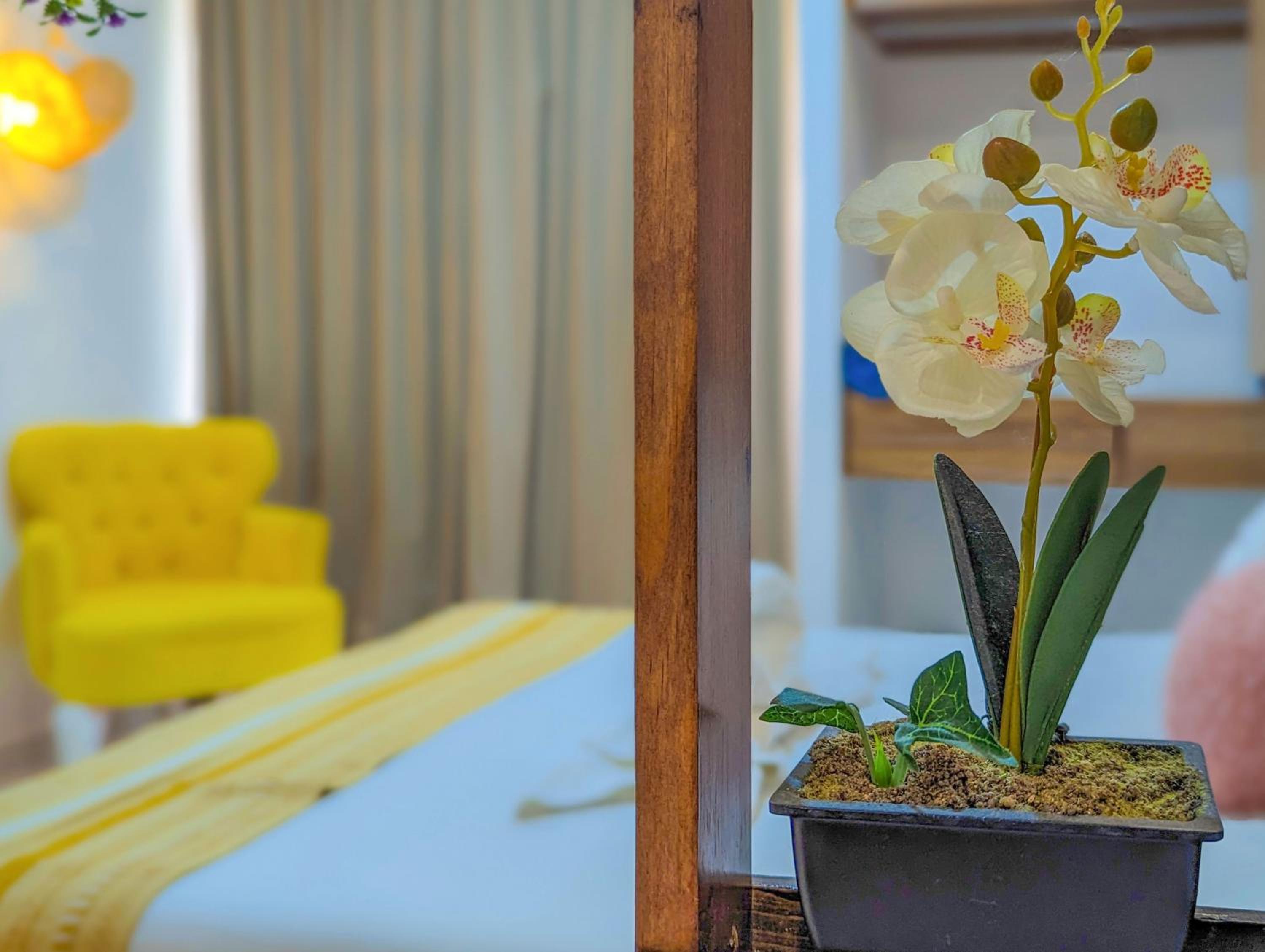 Remote Work in Cozy & Peaceful Suite Steps to Beach & 5th Ave Patio Fast WiFi AC UVA14