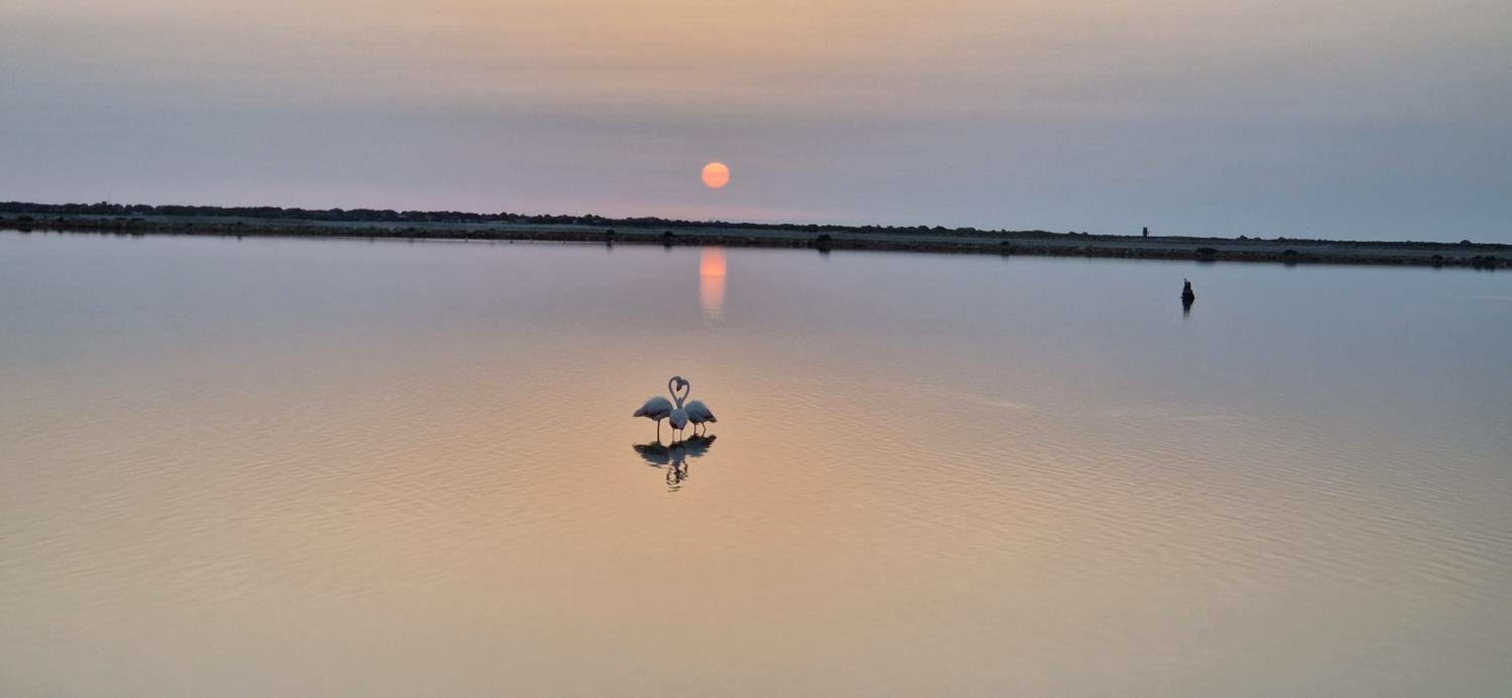Casita Lunicita - Villananitos Beach