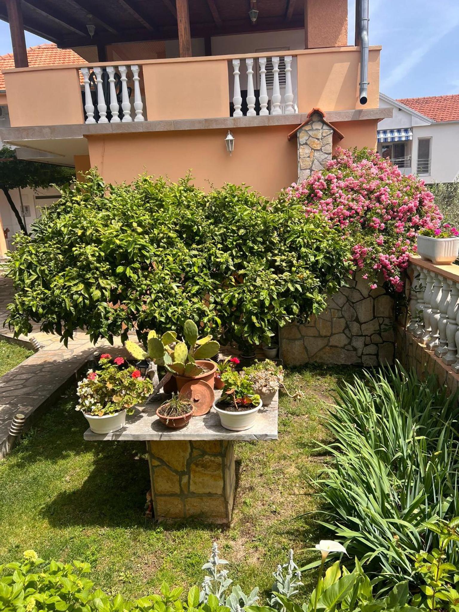 Ivica House