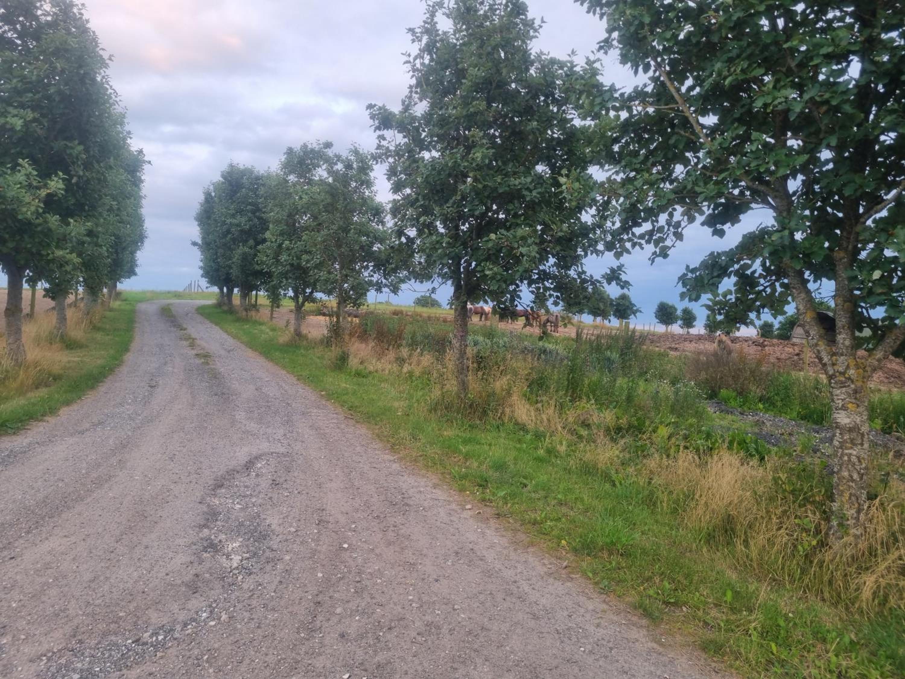 Gæstehuset på Agerholm