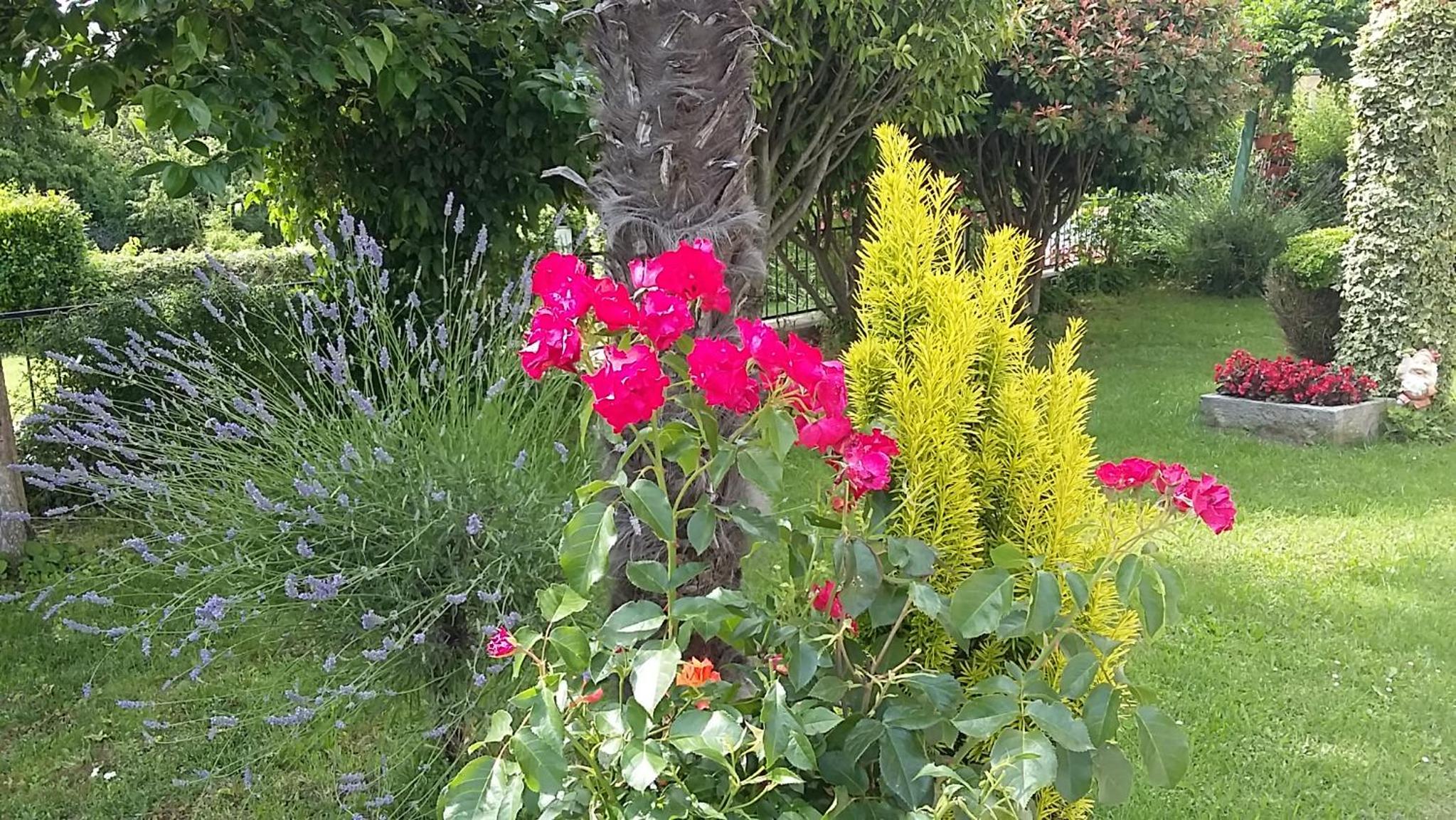 Photo 41