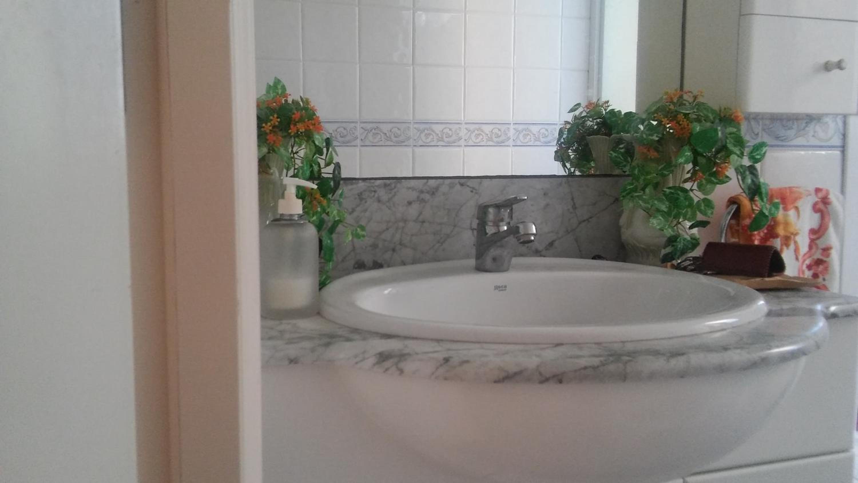 Passeig Maritim Apartment view 5
