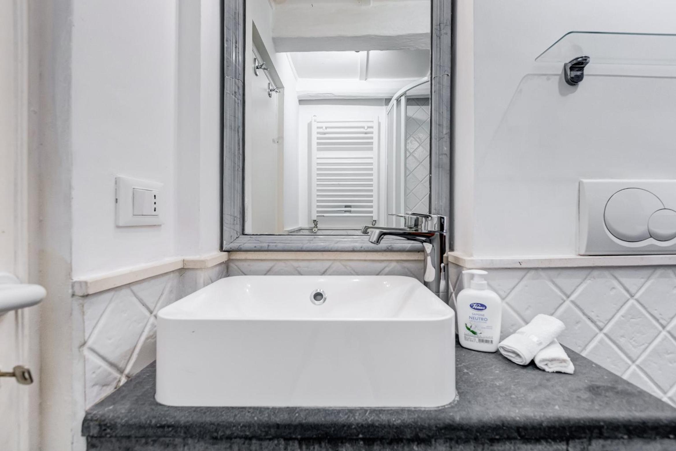Trastevere Piazza Trilussa Royal Orchid apartment