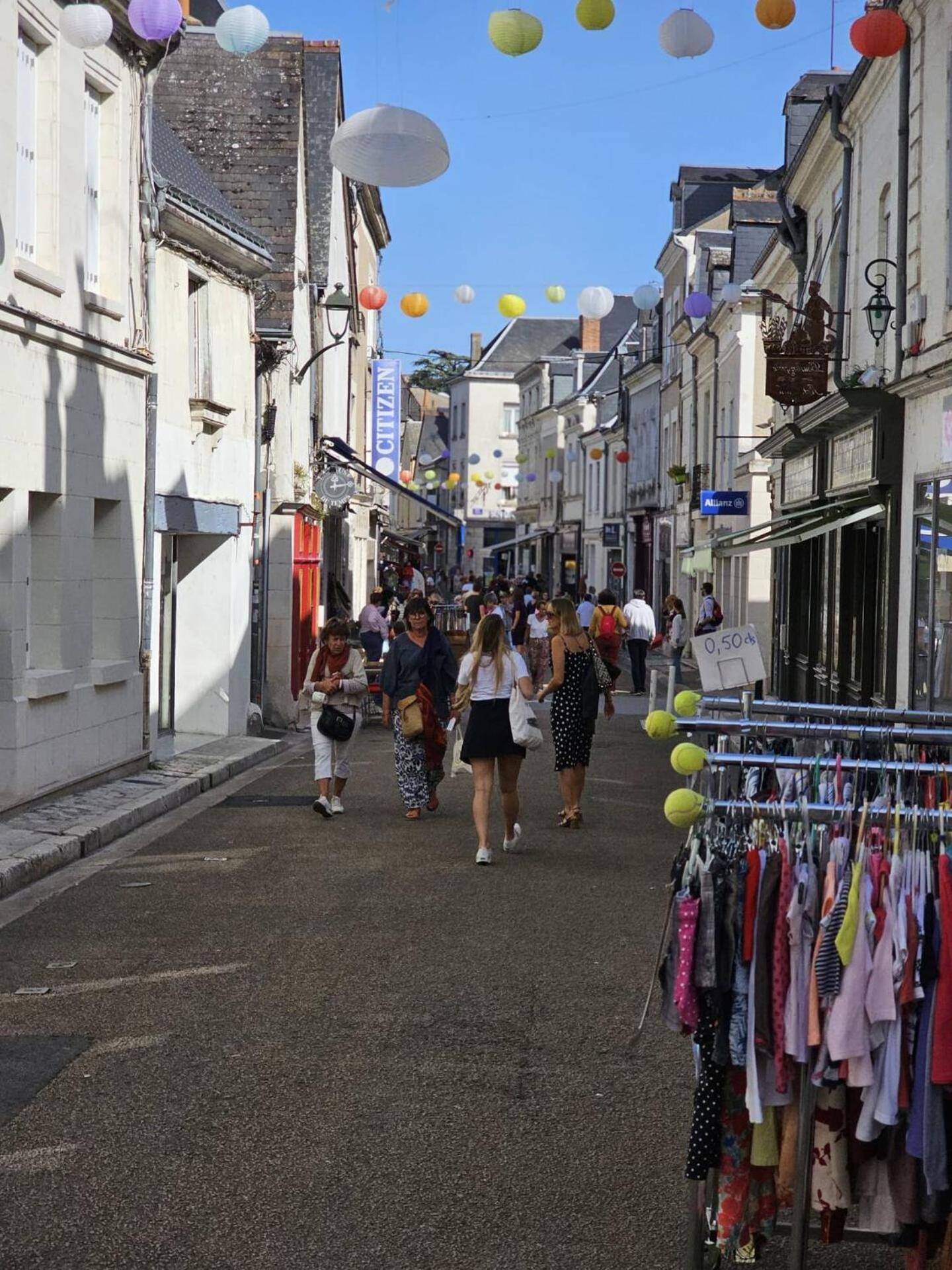 Amboise hyper centre - Cocon Royal à deux pas du Château