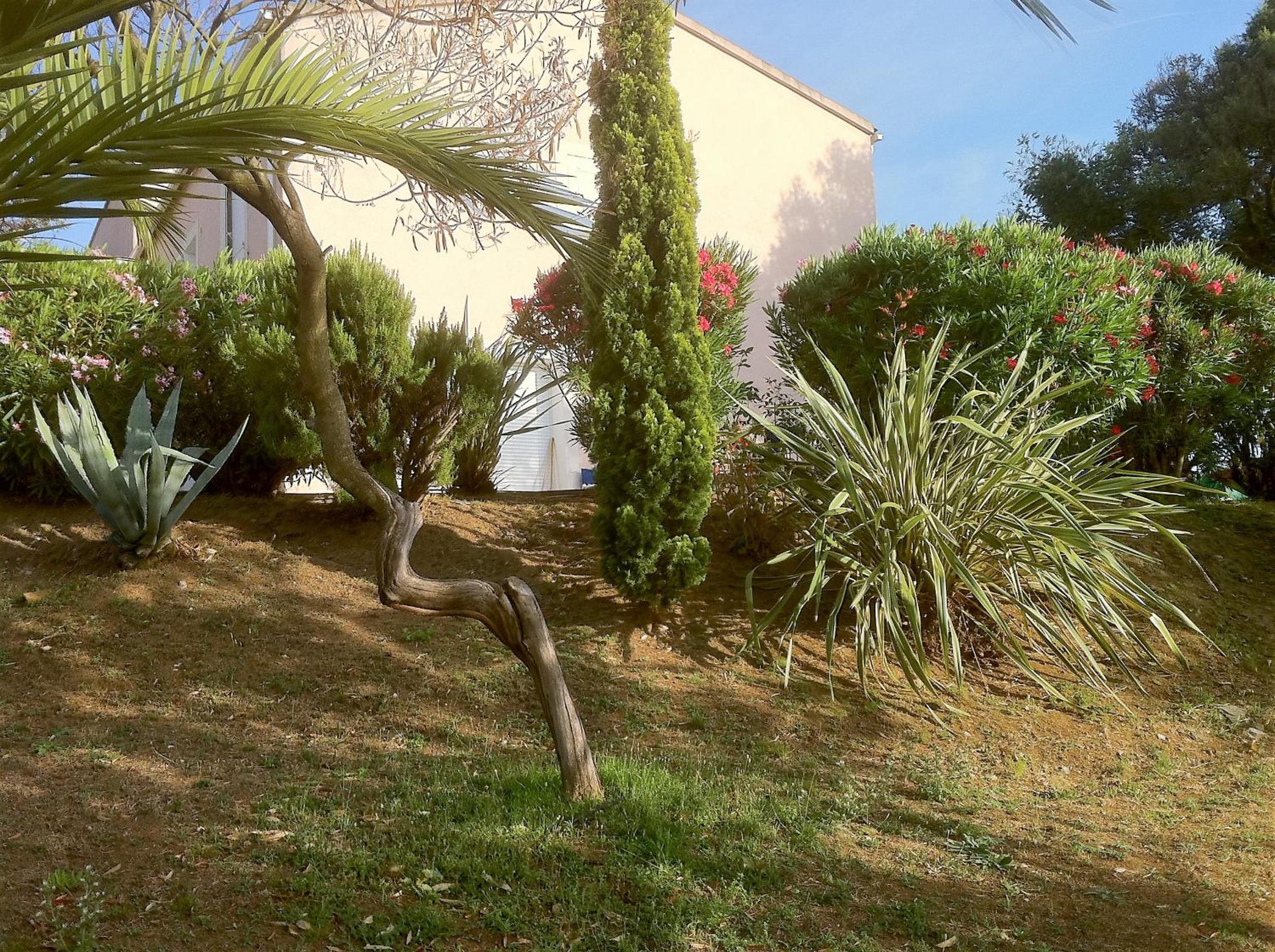 Villa ELOFRED view 3