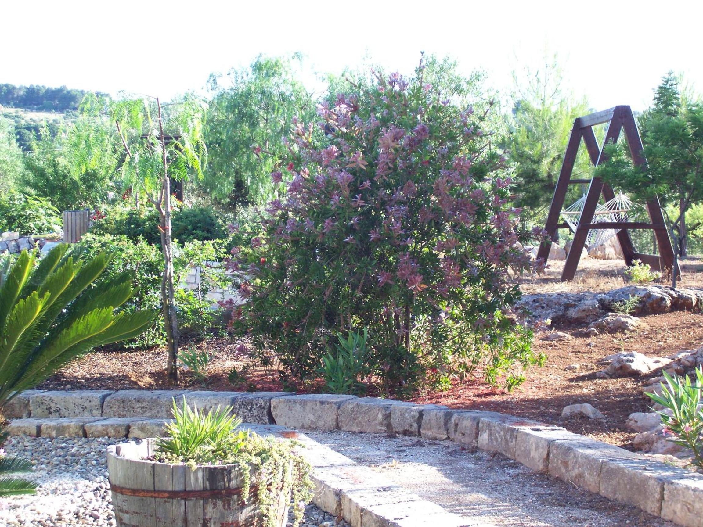 Villa Giulia B&B view 5