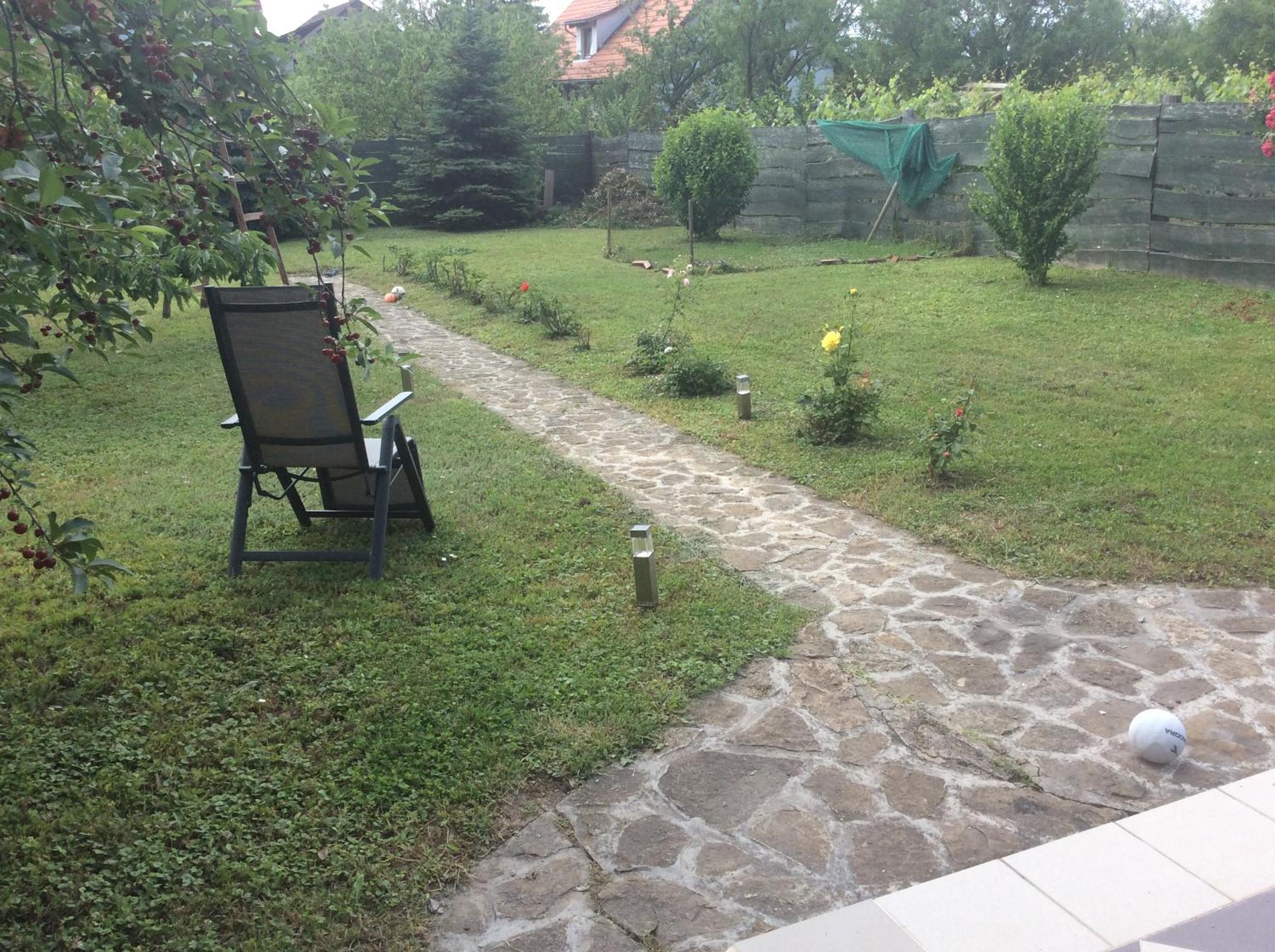 Photo 51