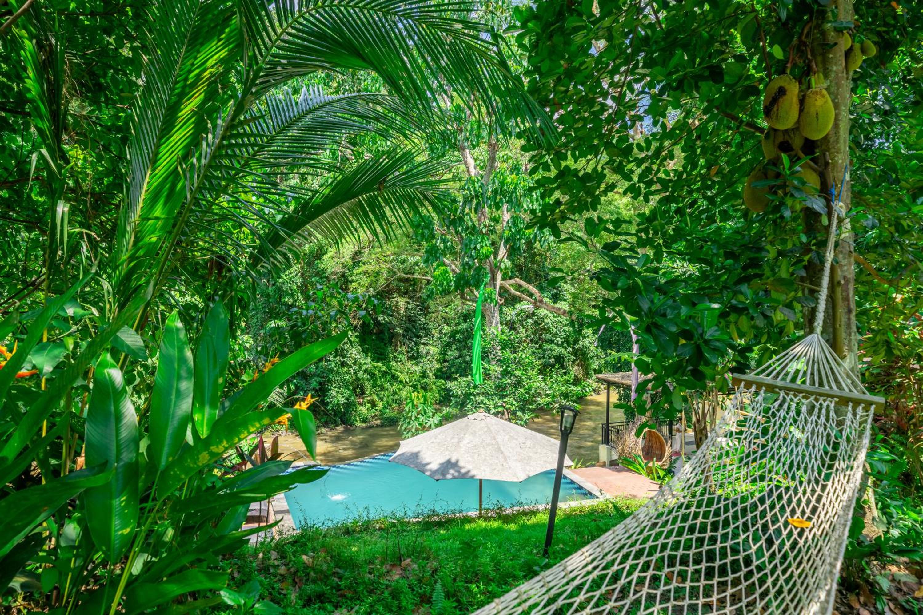 Jungle River 5 BR Villa- Pool, Yoga, Tubing Near Ubud