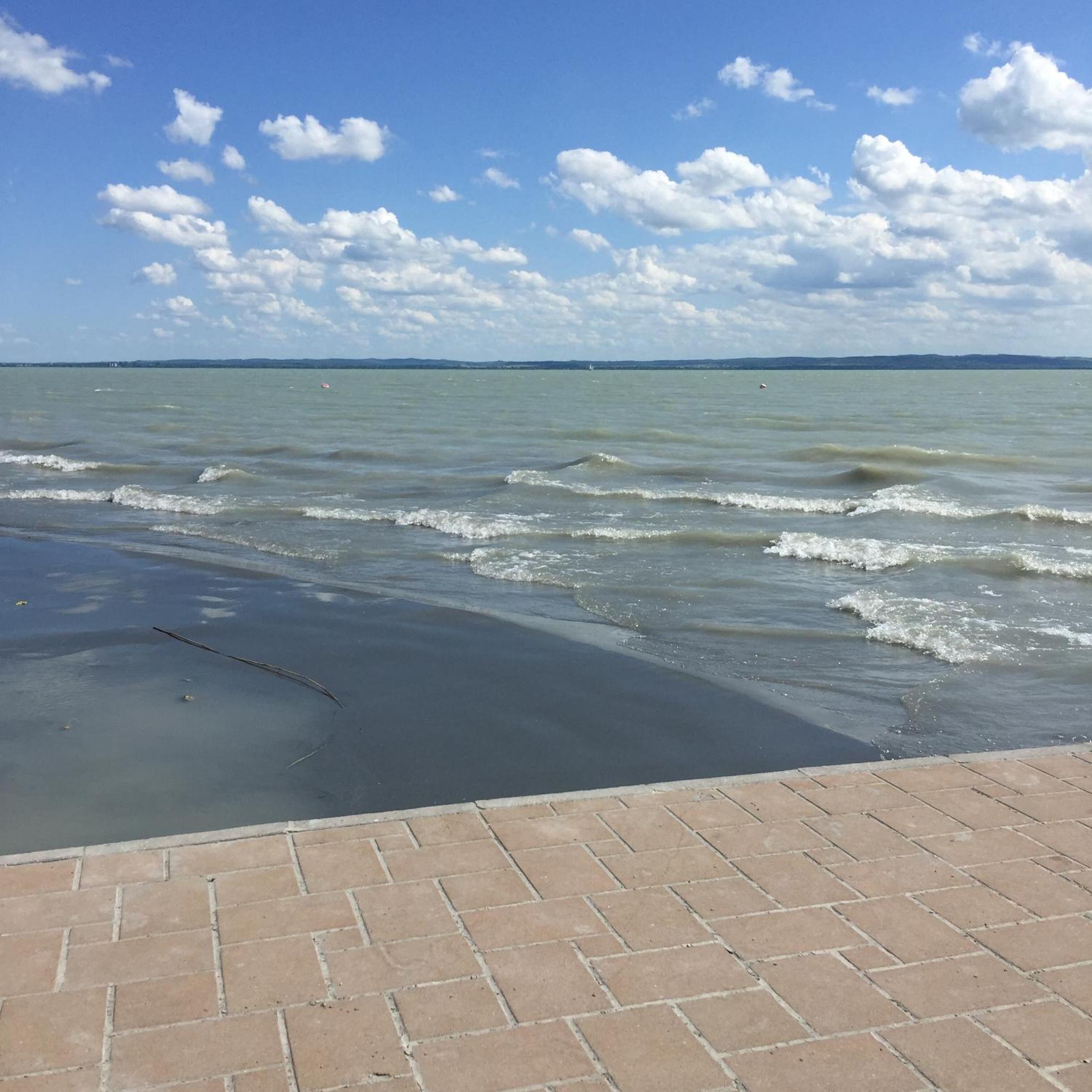 Photo 44