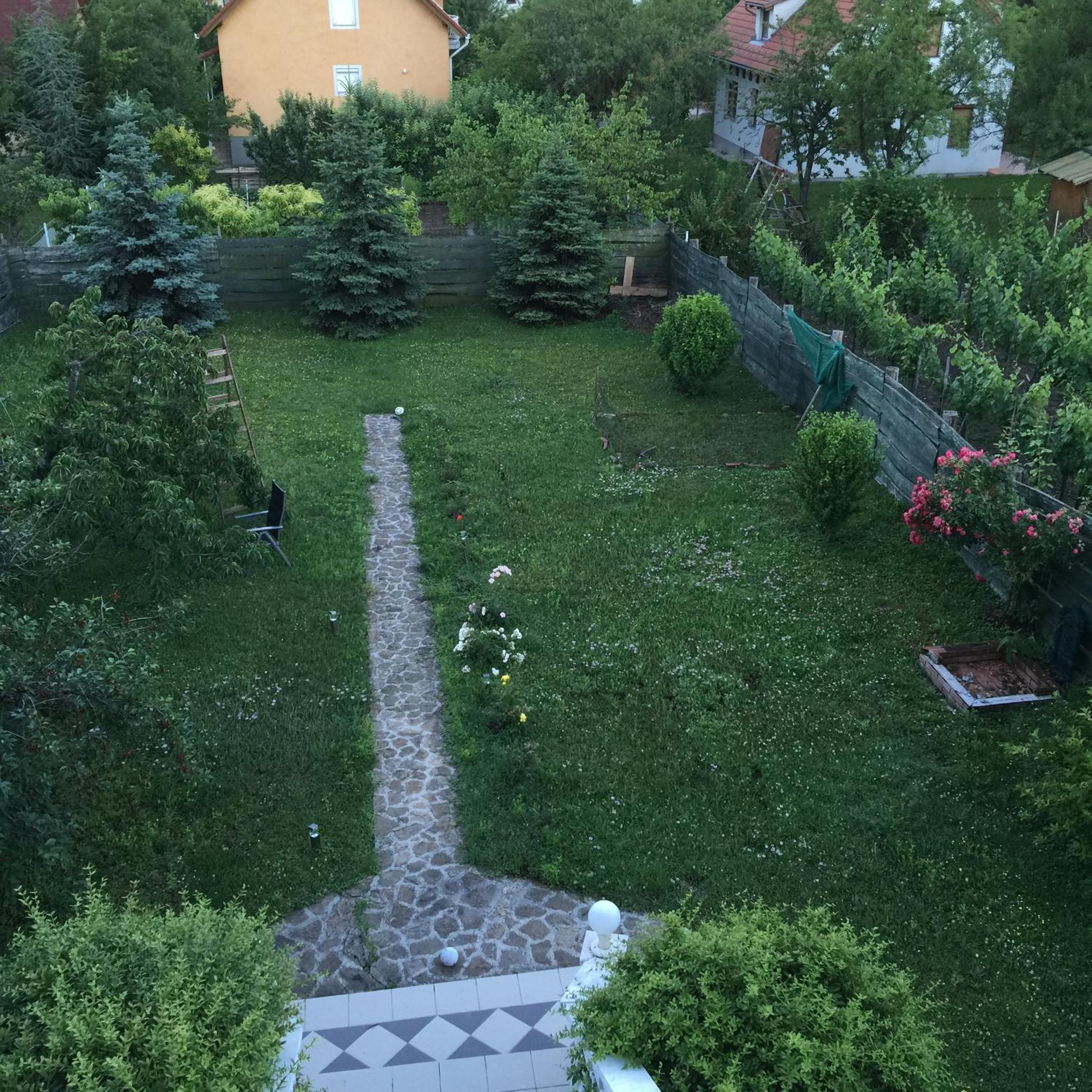 Photo 41
