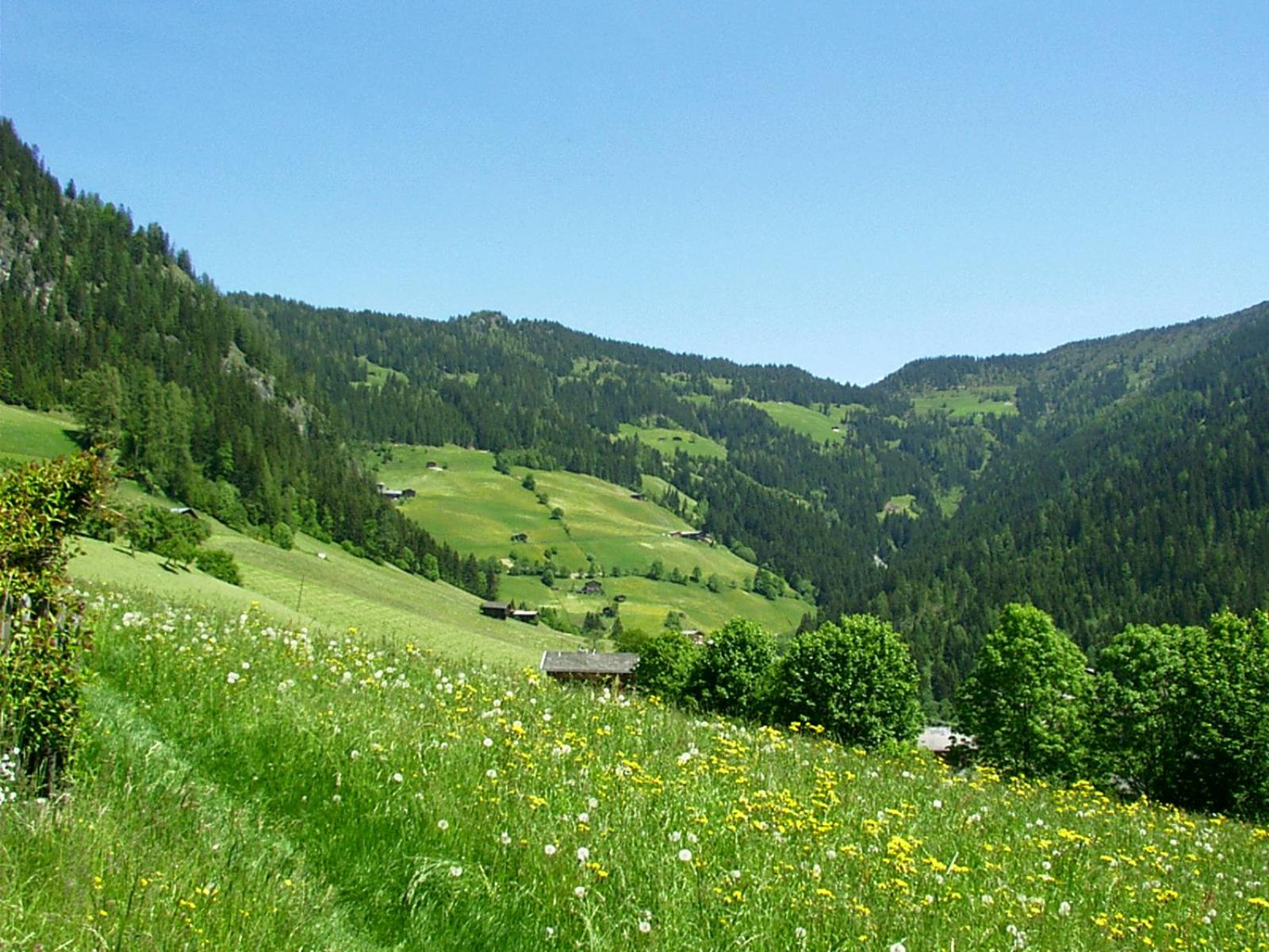 Ferienwohnungen Unterfeld