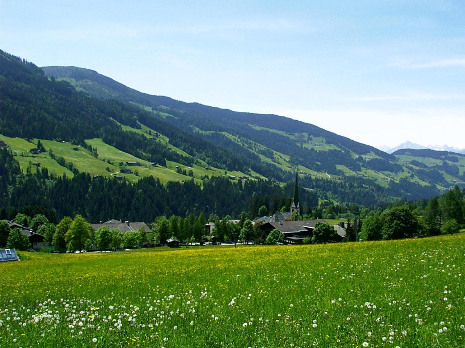 Ferienwohnungen Unterfeld
