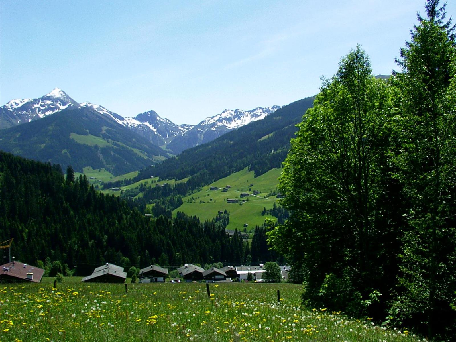 Ferienwohnungen Unterfeld