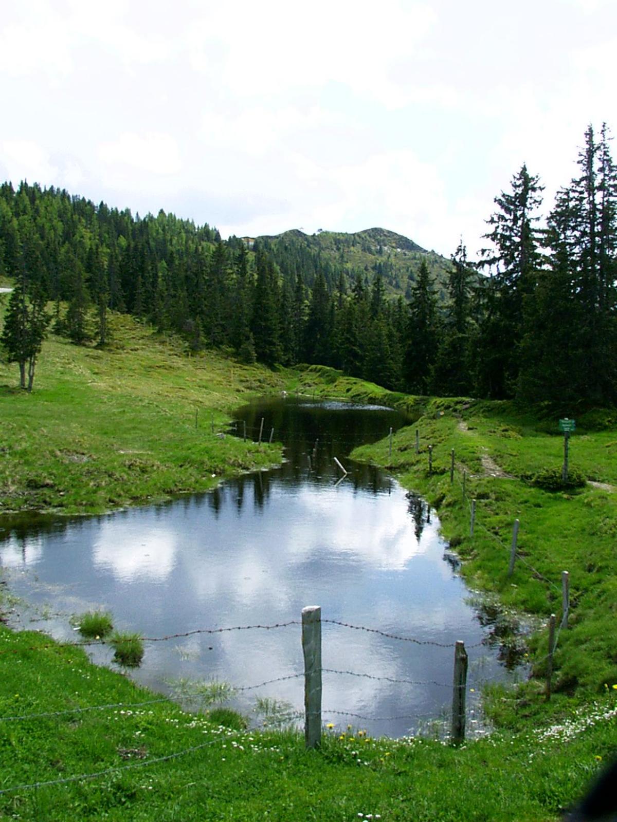 Ferienwohnungen Unterfeld