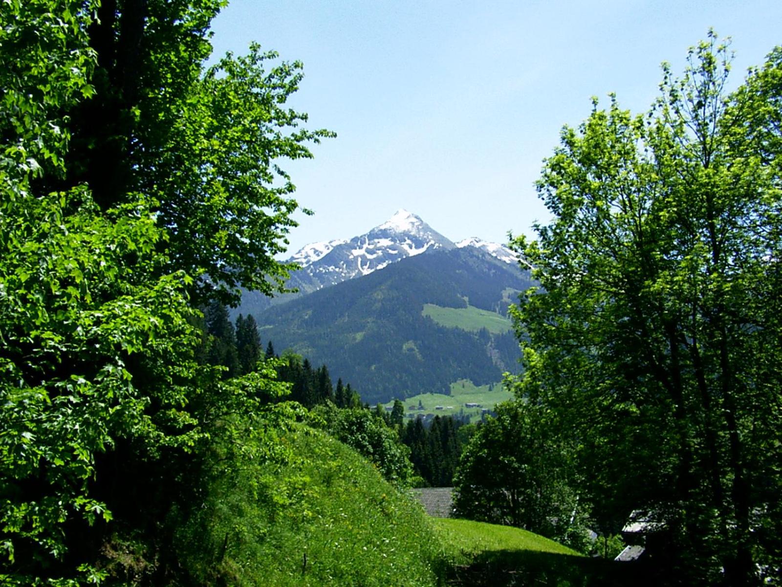 Ferienwohnungen Unterfeld