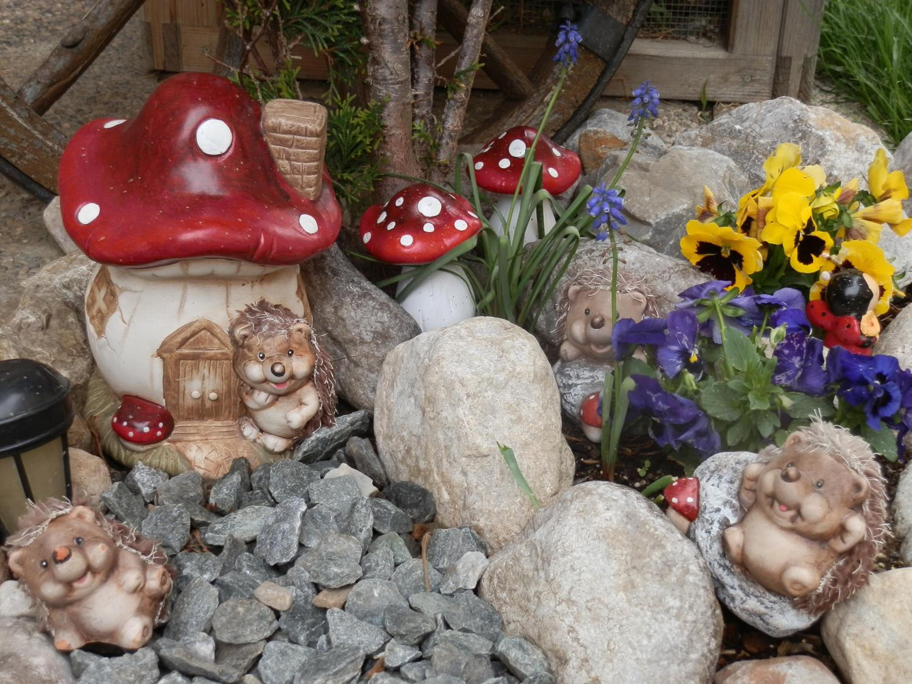 Photo 67